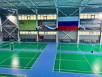 Центр бадминтона (ulitsa imeni N.G. Chernyshevskogo, 63к3), sports center