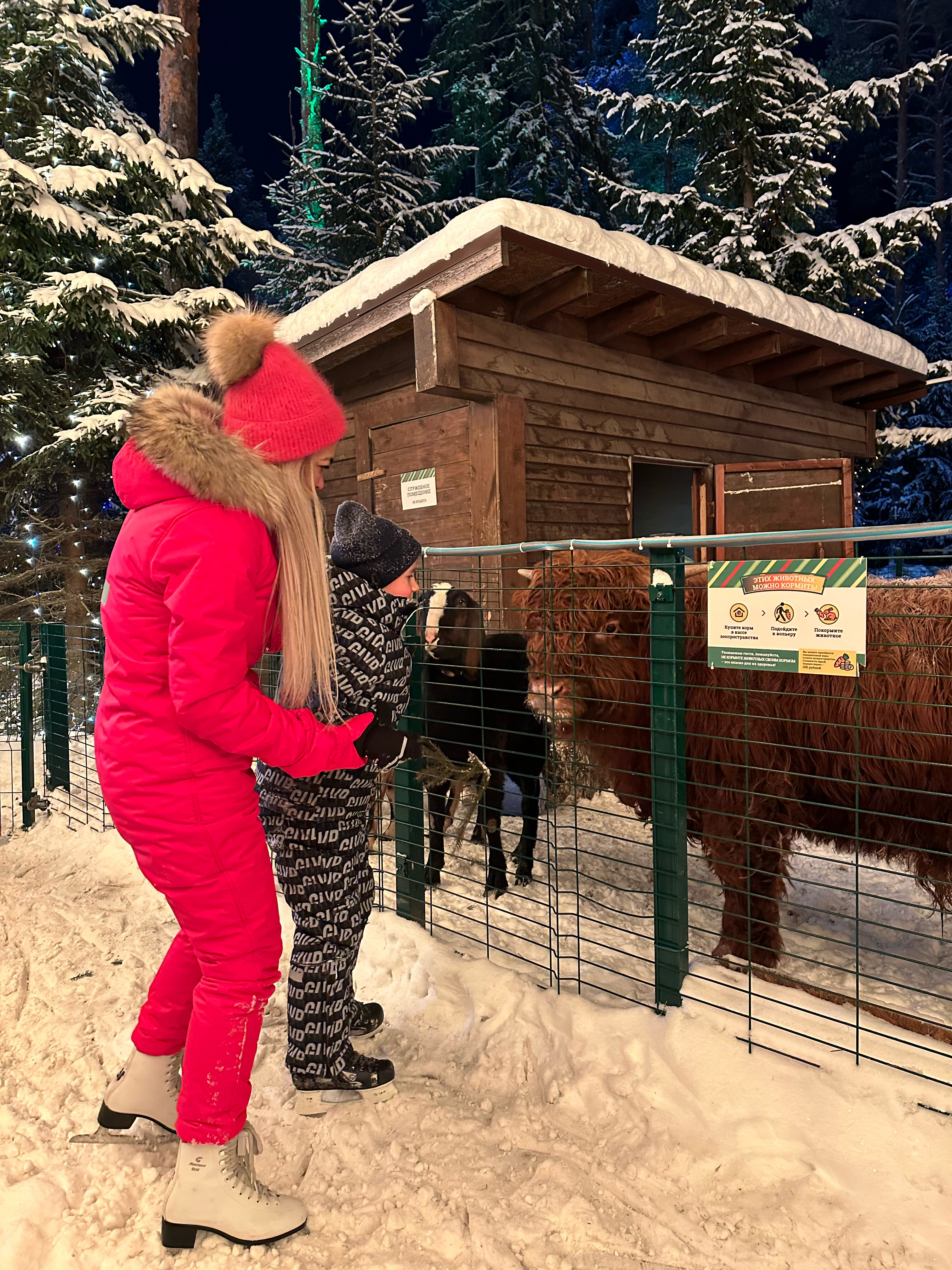 Фото Oxta Ski Resort