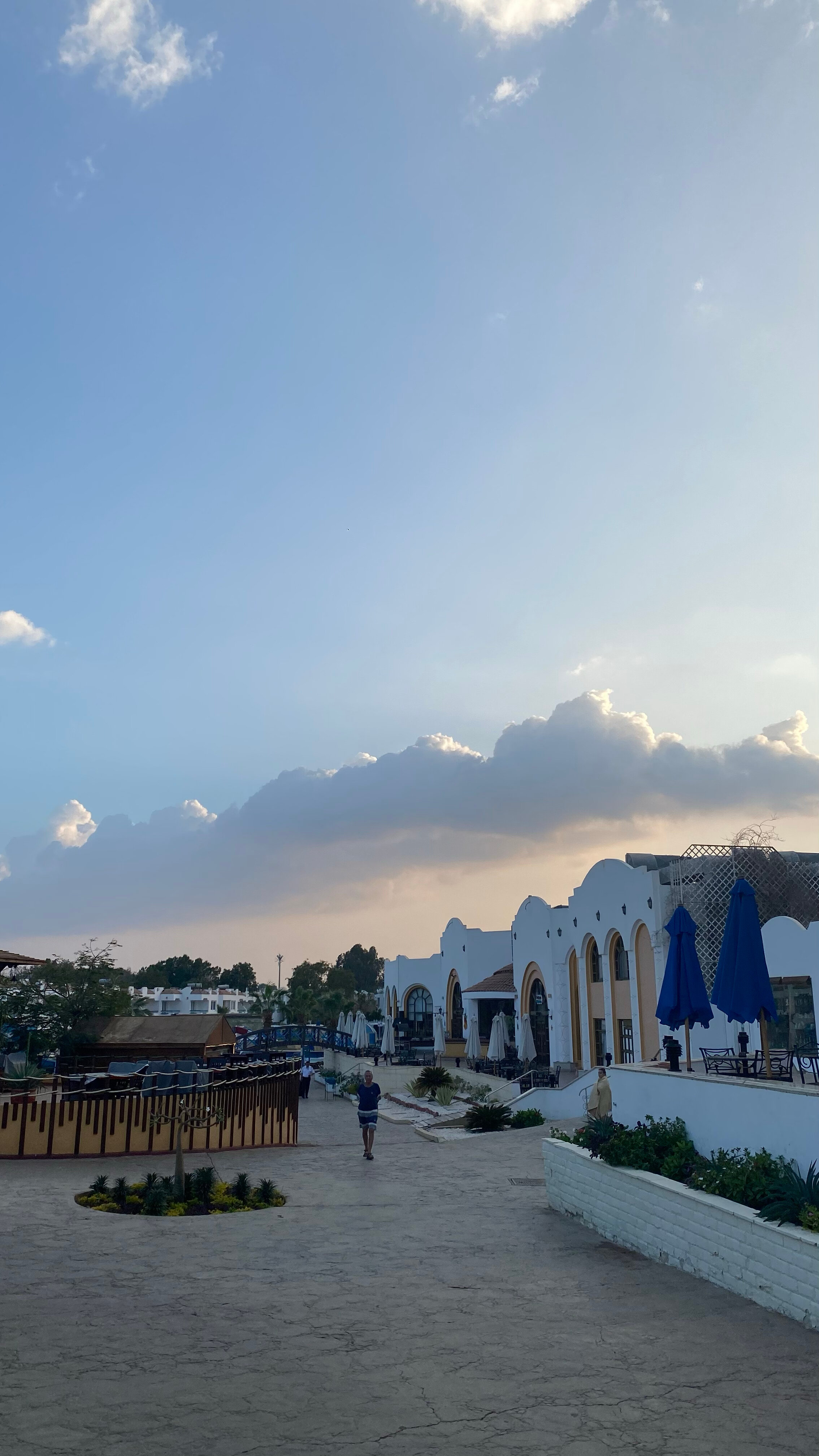 Фото Dreams Vacation