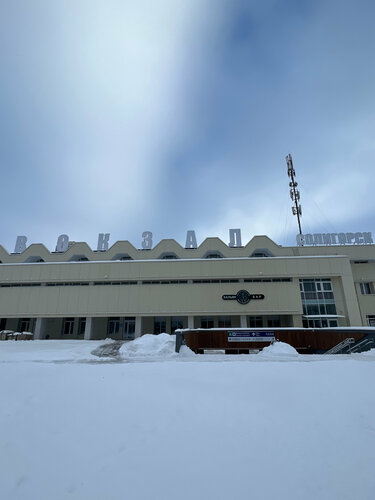 Қынаптағы жыныс мүшесінің ультрадыбыстық зерттеуі