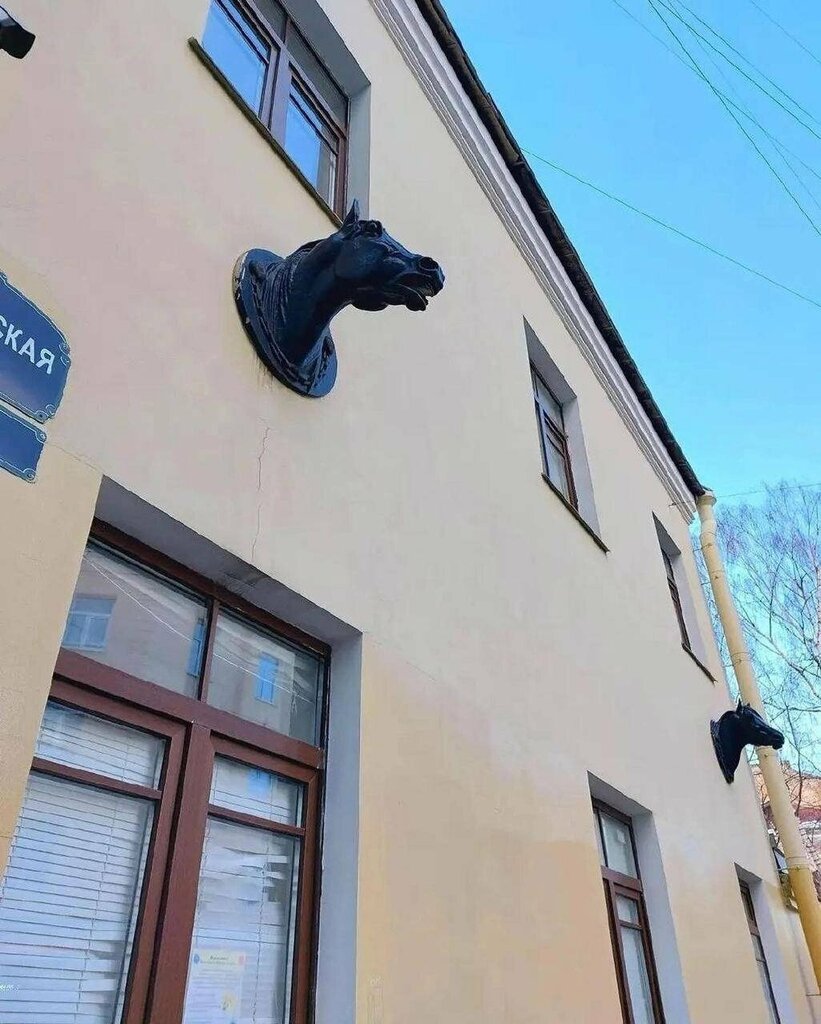 Veteriner klinikleri Veterinarnaya klinika Tsentralnogo rayona, Saint‑Petersburg, foto