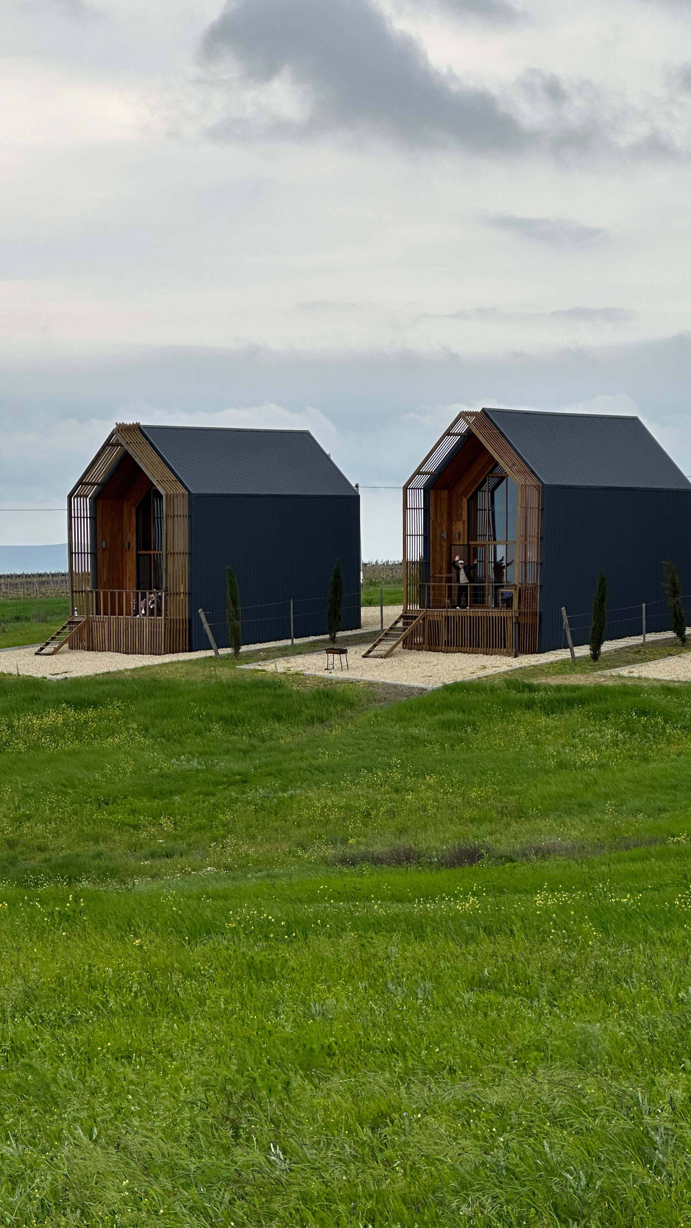 Фото Фридом