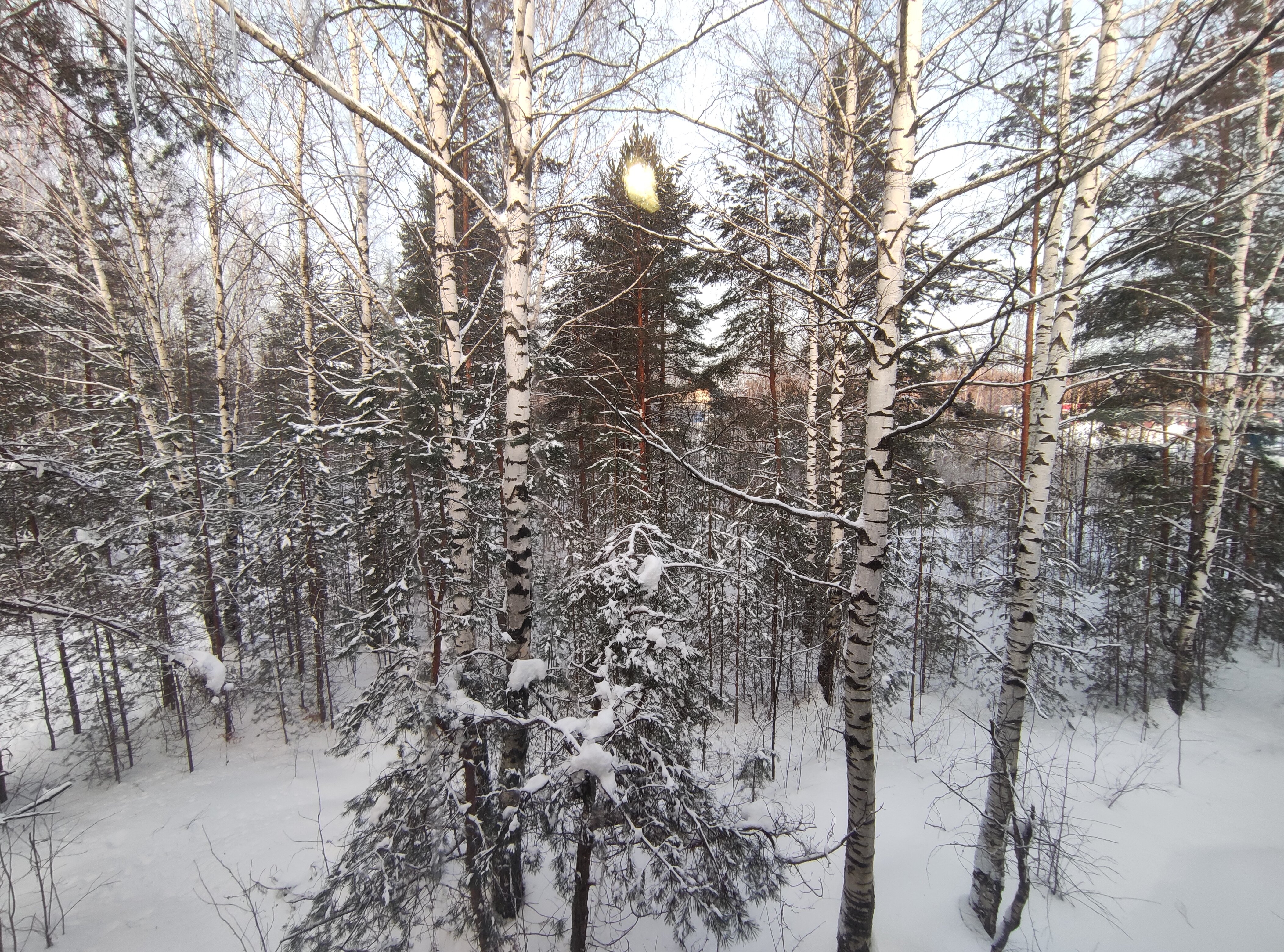 Фото У ФОКа