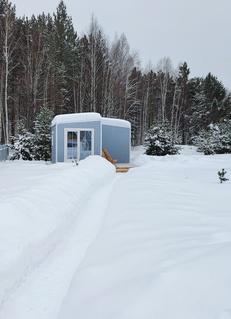 Фото Forest time