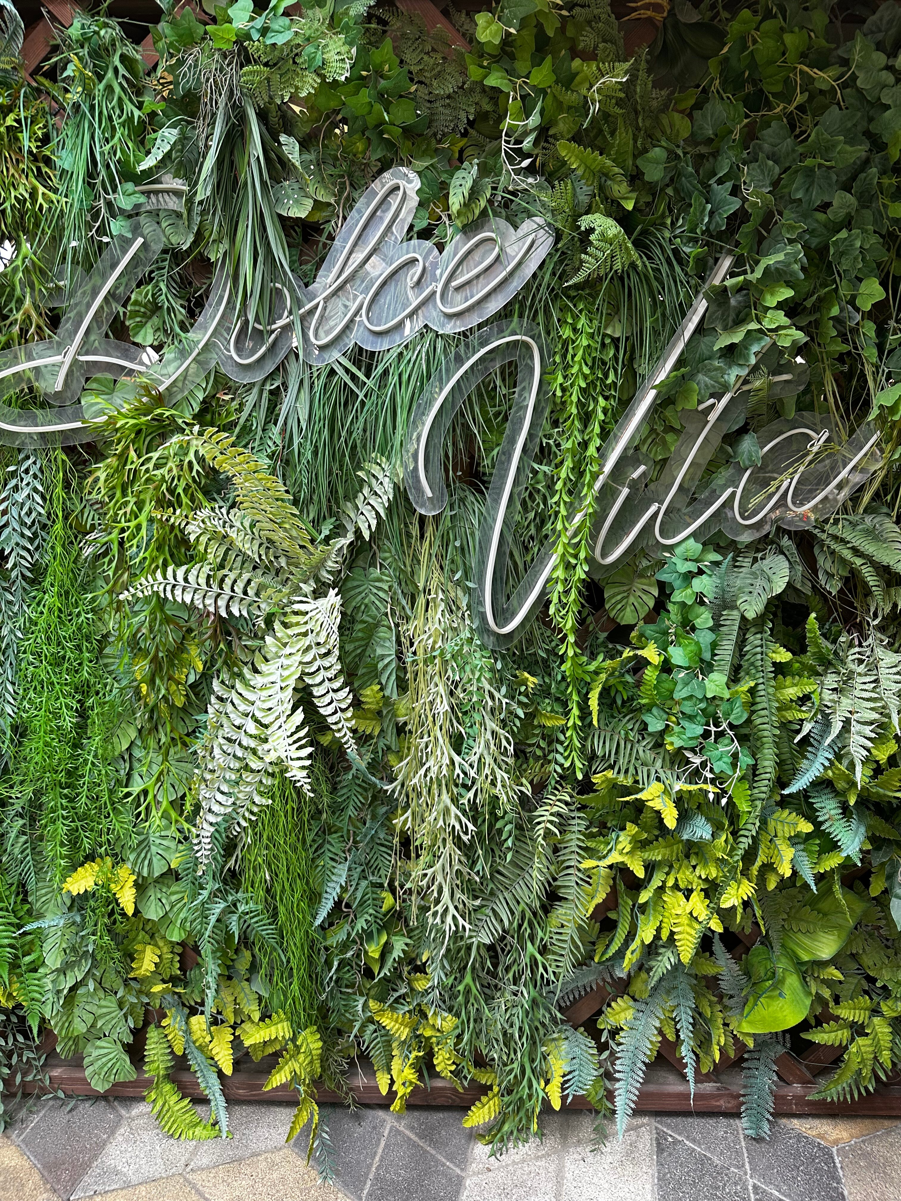 Фото Дольче Вита