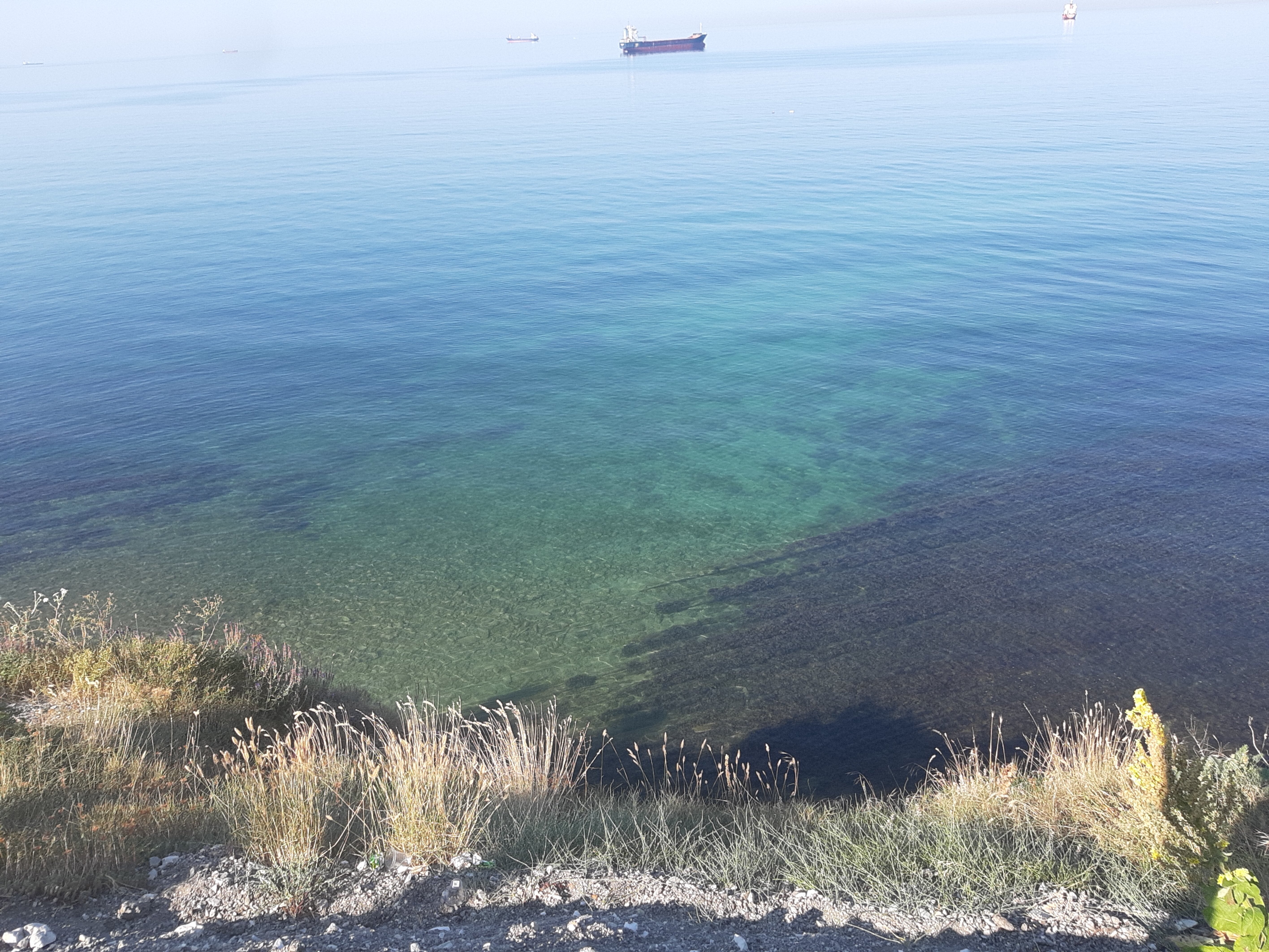 Фото Фазенда