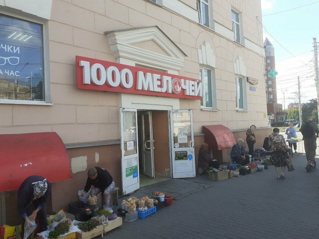 Household goods and chemicals shop 1000 Мелочей, Tula, photo
