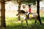 Pony Hobby (д. Первомайка, Клубная ул., 4), конный клуб в Москве и Московской области