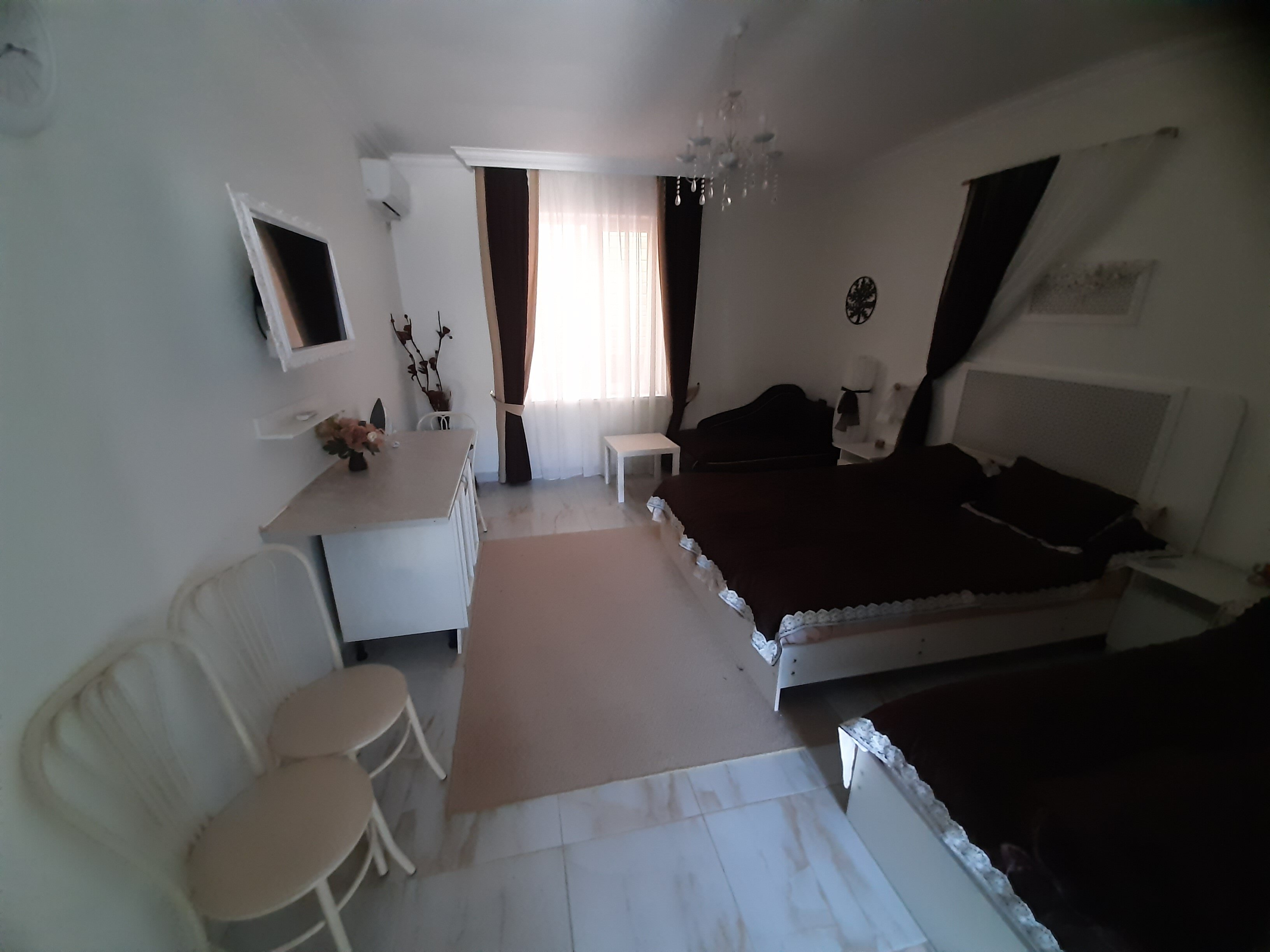 Фото Морская звезда