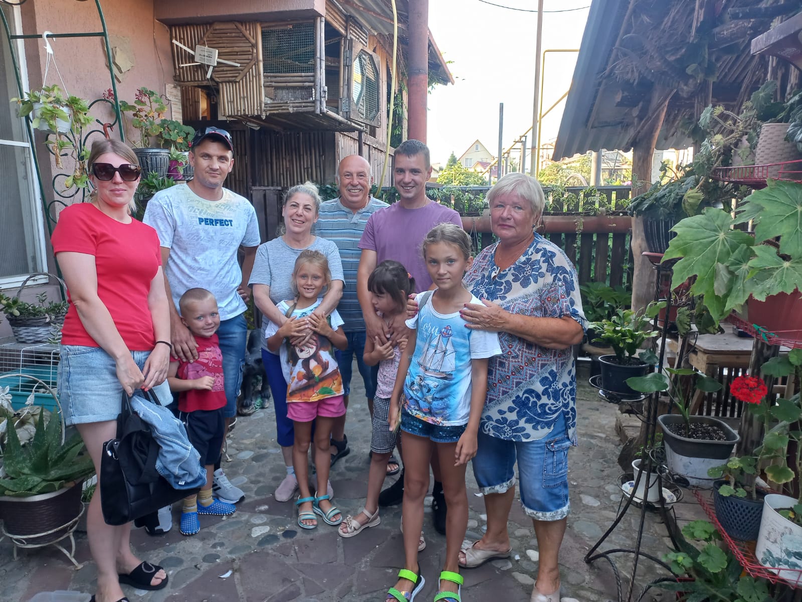 Фото Любовь и голуби