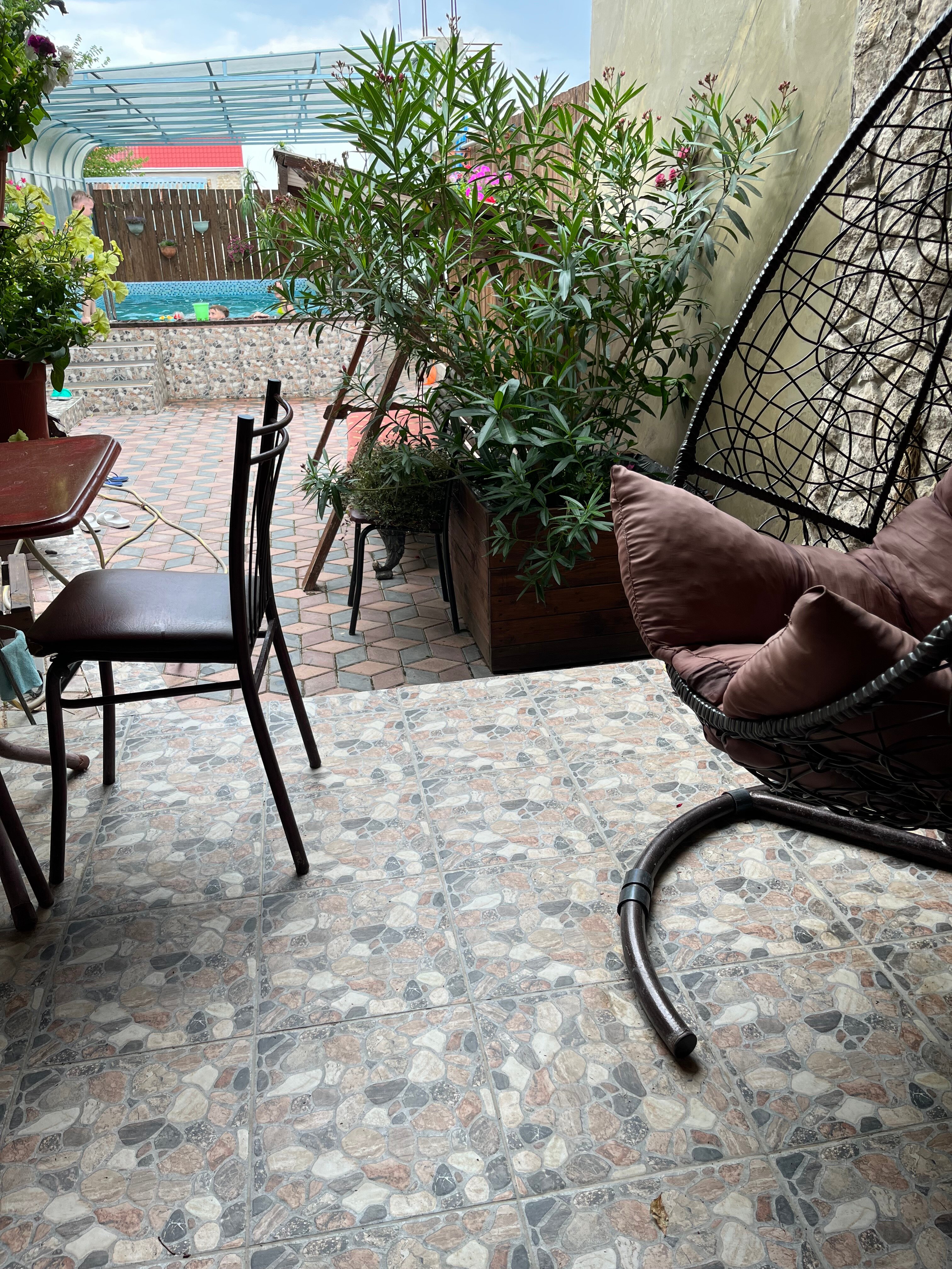 Фото Сапсан