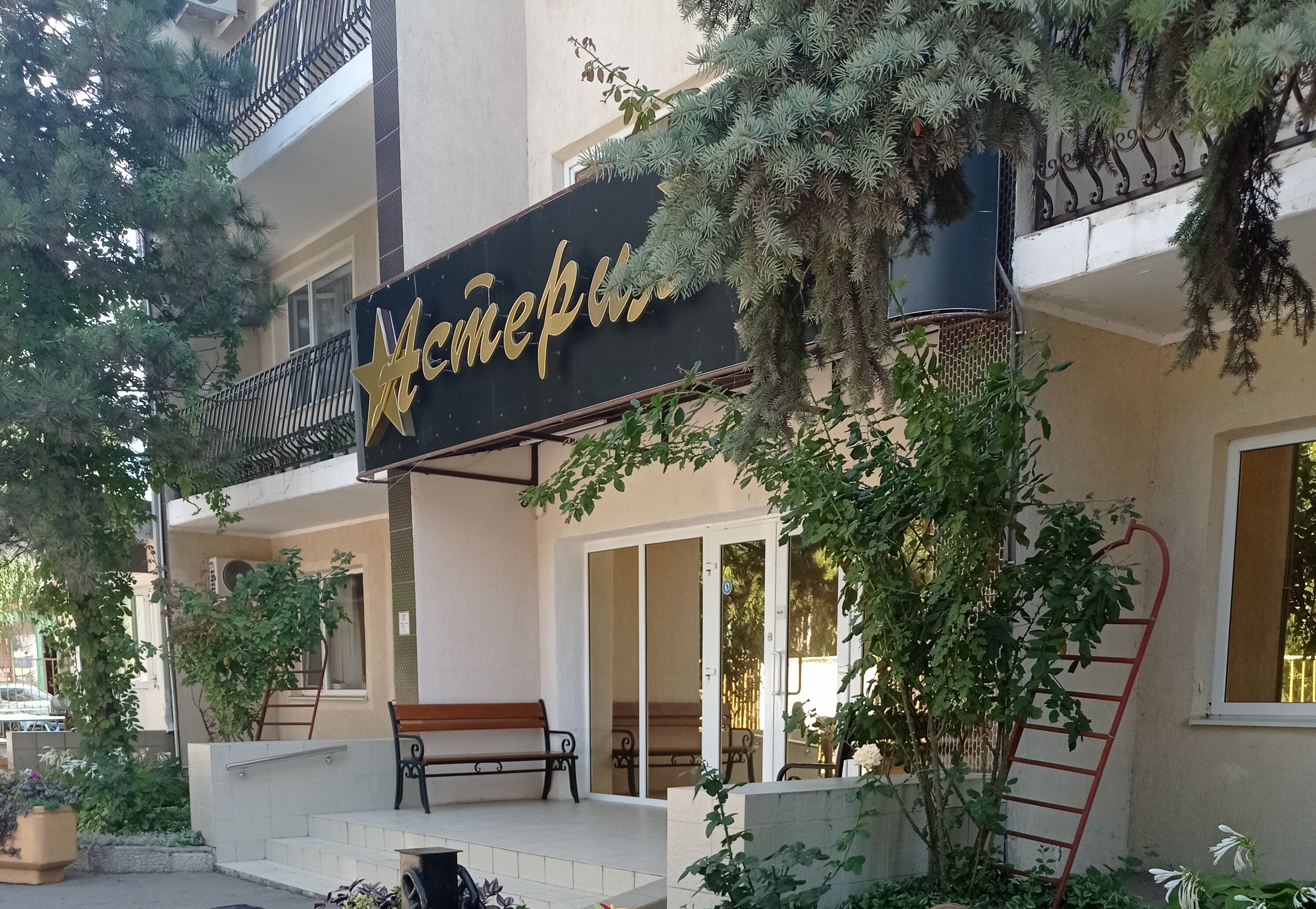 Фото Астерия