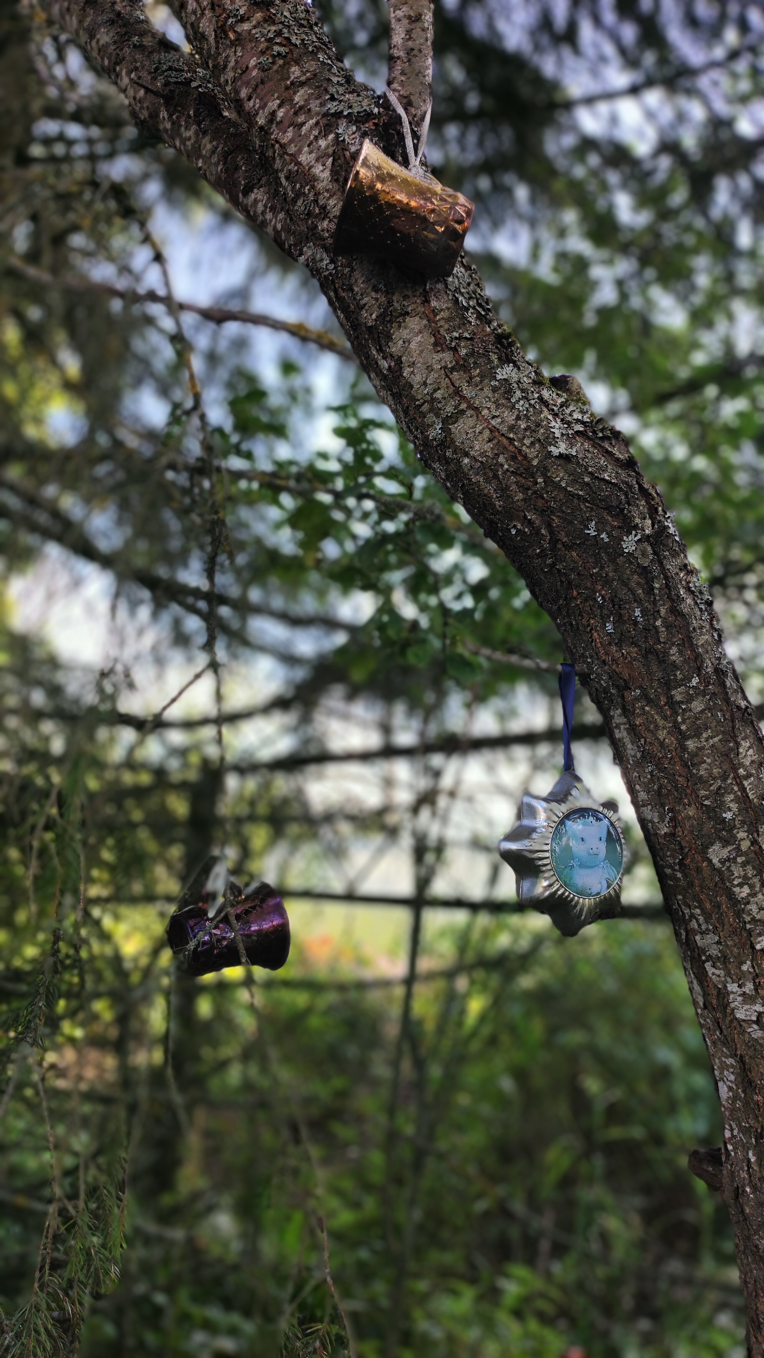 Фото Лосиный тупичок