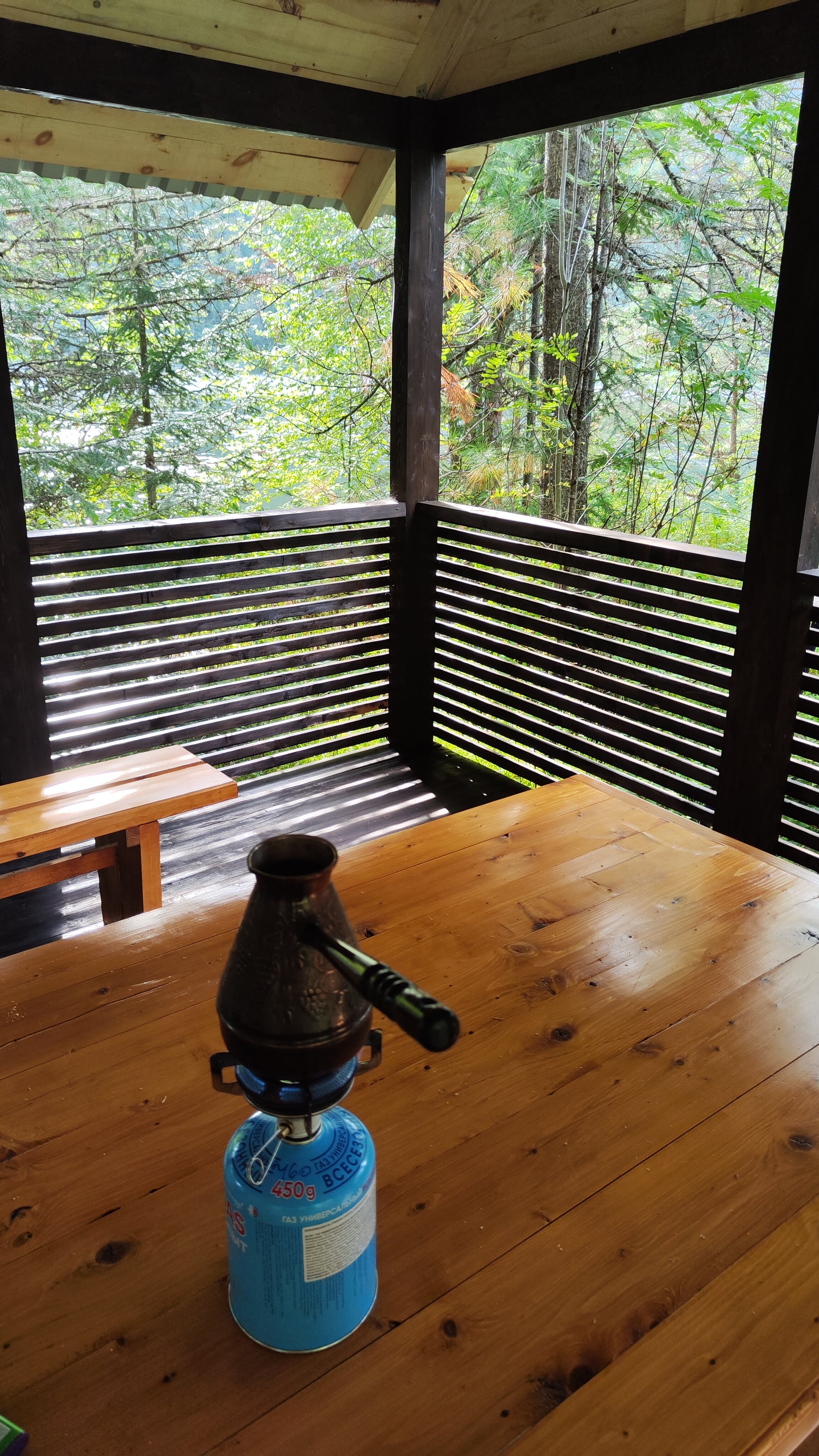 Фото Бия заповедная