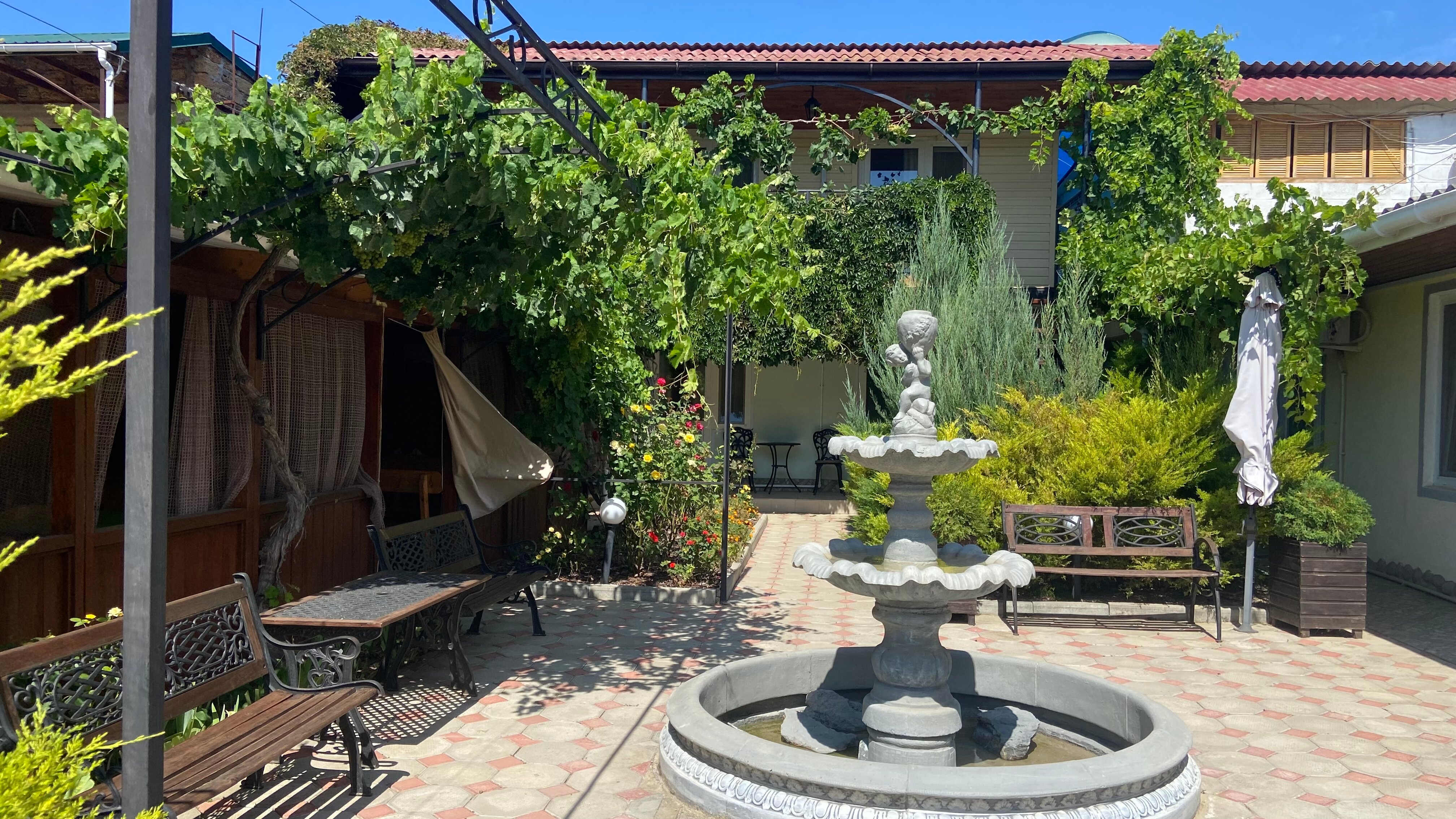 Фото Афалина