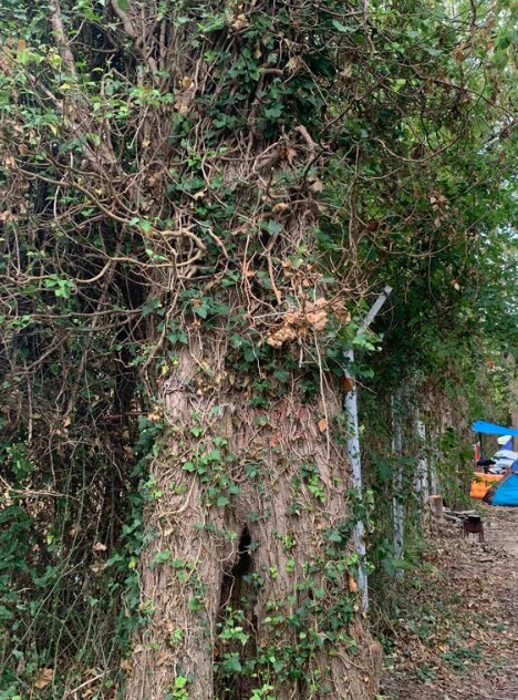 Фото Кемпинг Уют