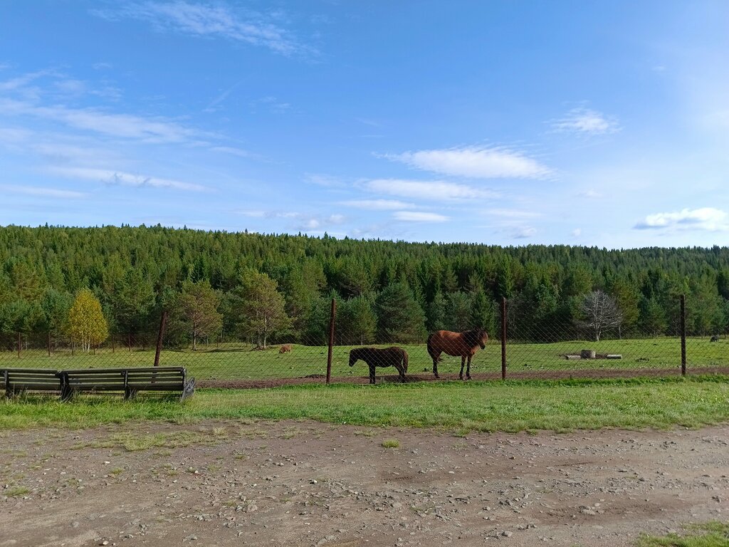 Intensive animal farming ZooVisim, Sverdlovsk Oblast, photo