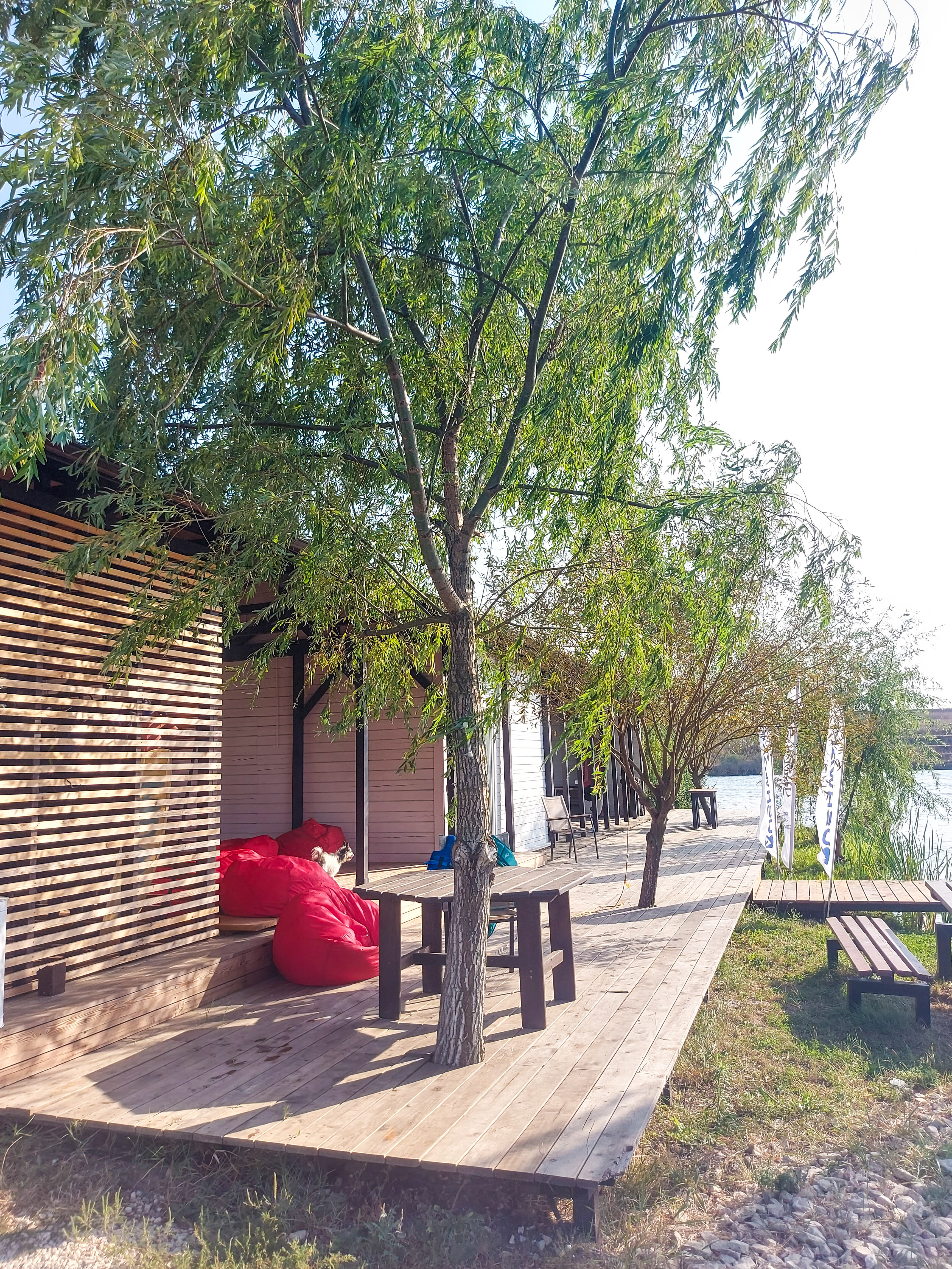 Фото Терра23