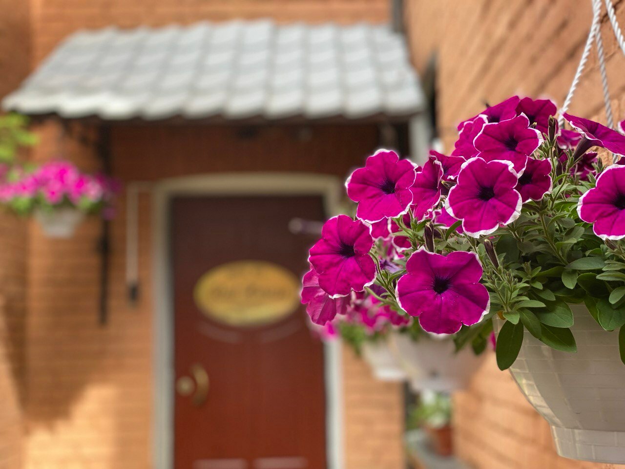 Фото Ред Хаус