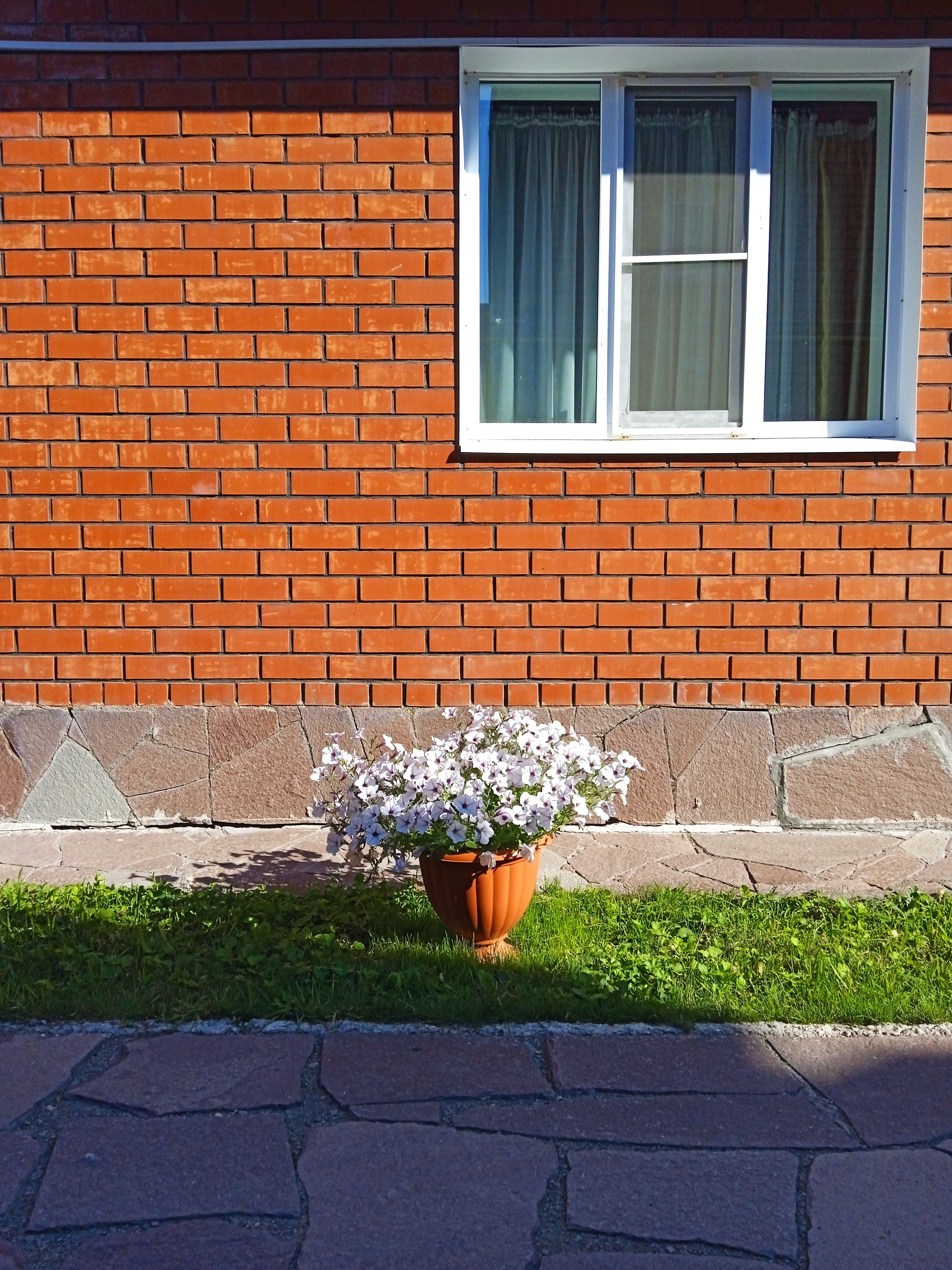 Фото Дарина