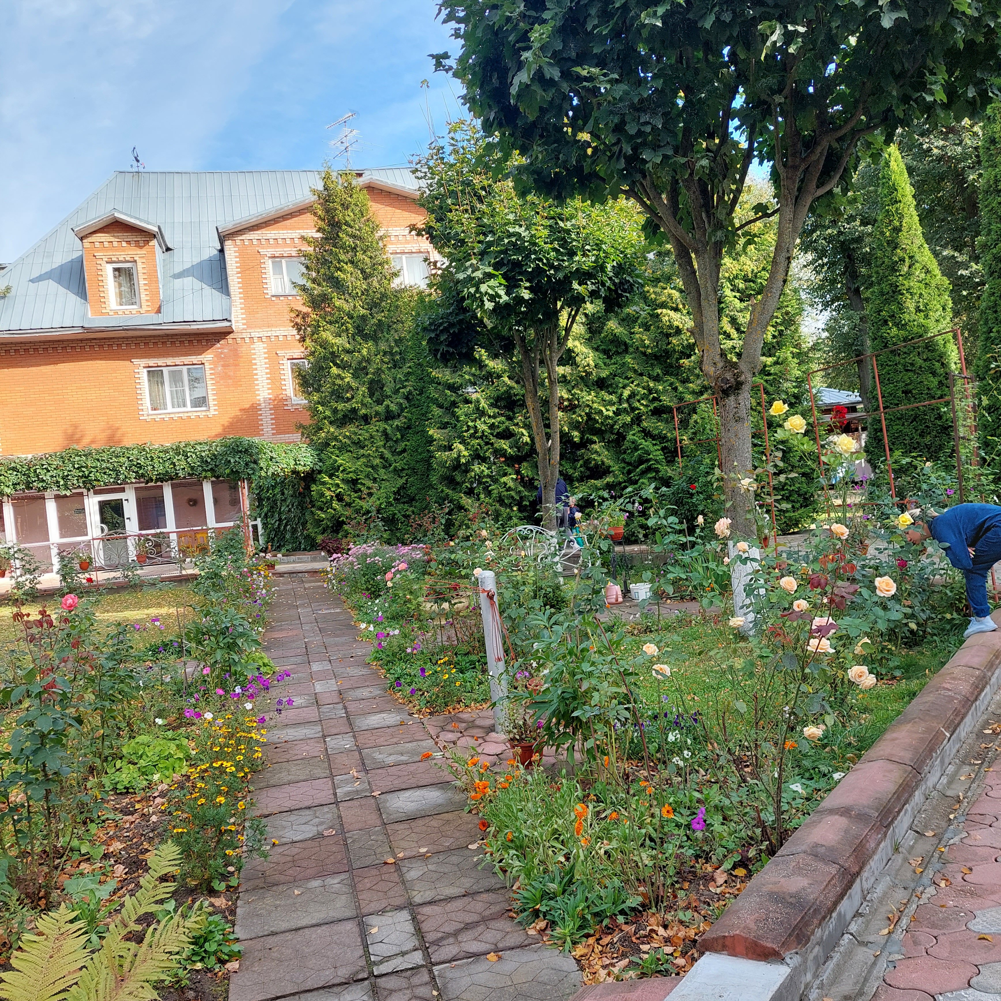 Фото Мещерино Dme