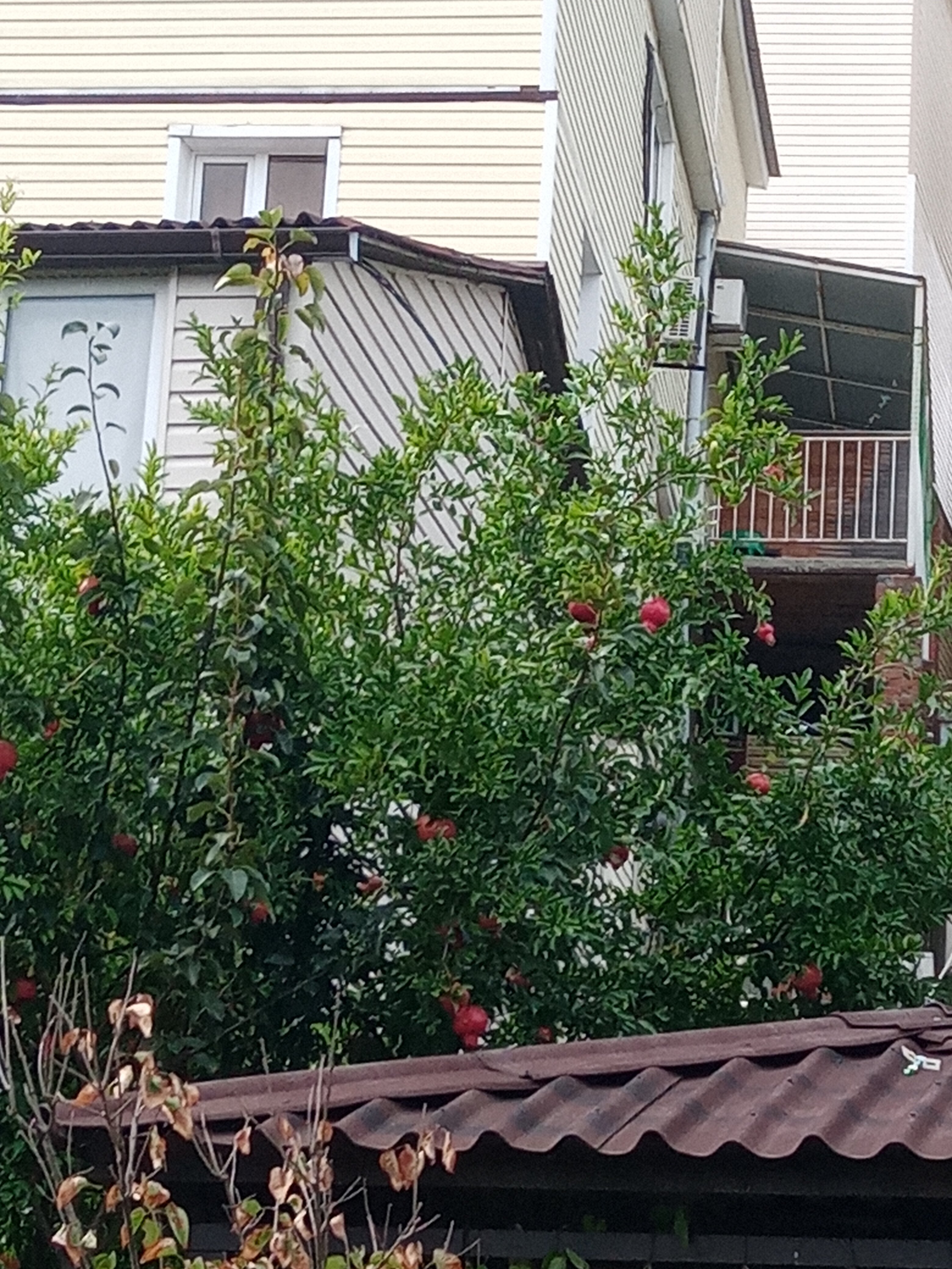 Фото Встреча