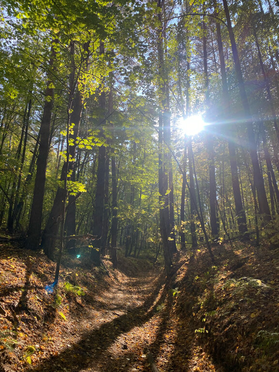 Фото Монте-Карло