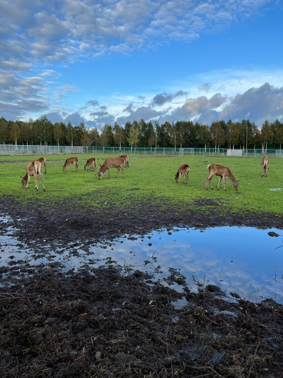 Фото Чёрные камни