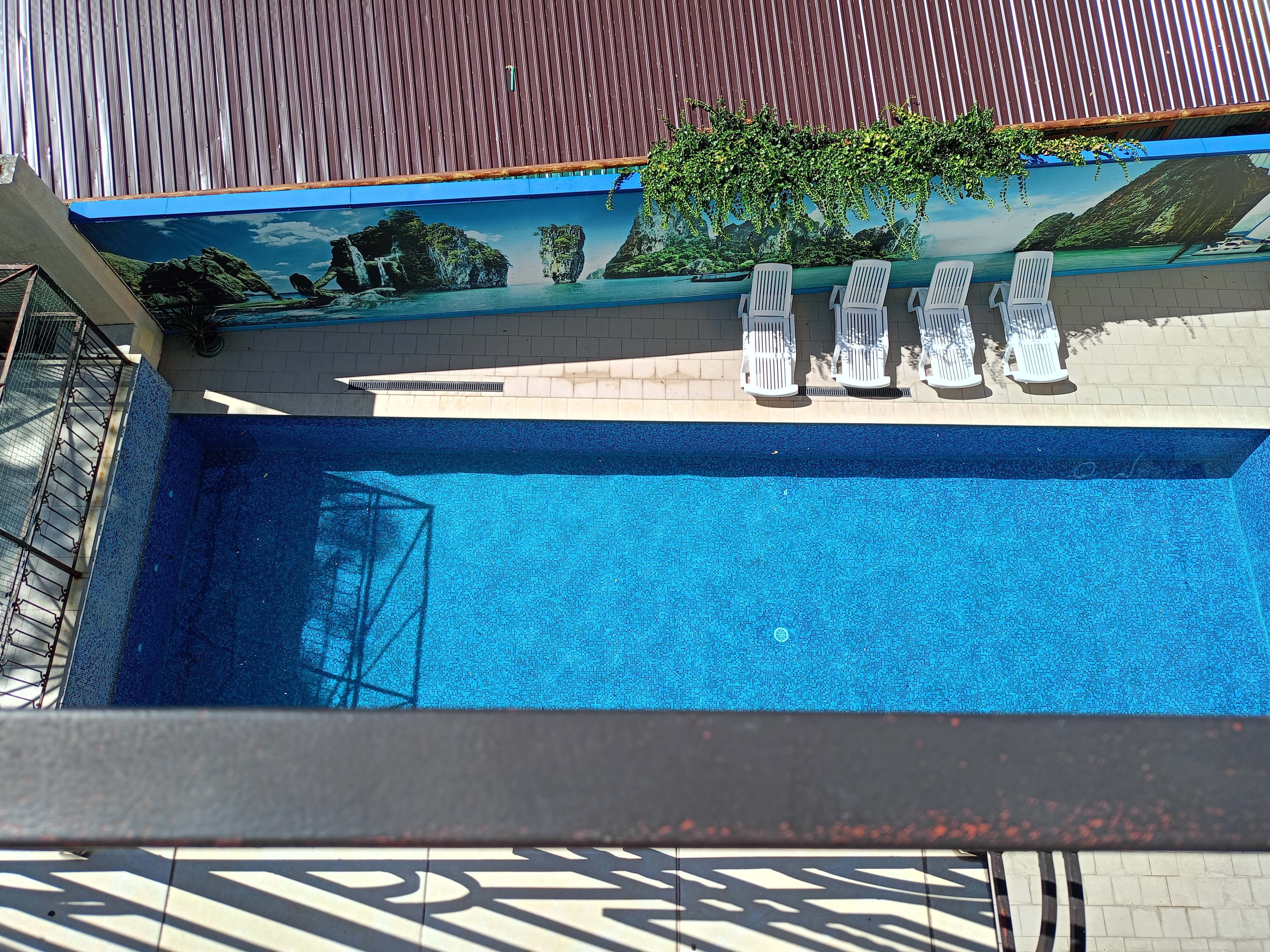 Фото Атриум