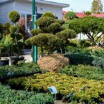 Art-Landshaft (Moskovskiy trakt, 9-y kilometr, 14), garden center