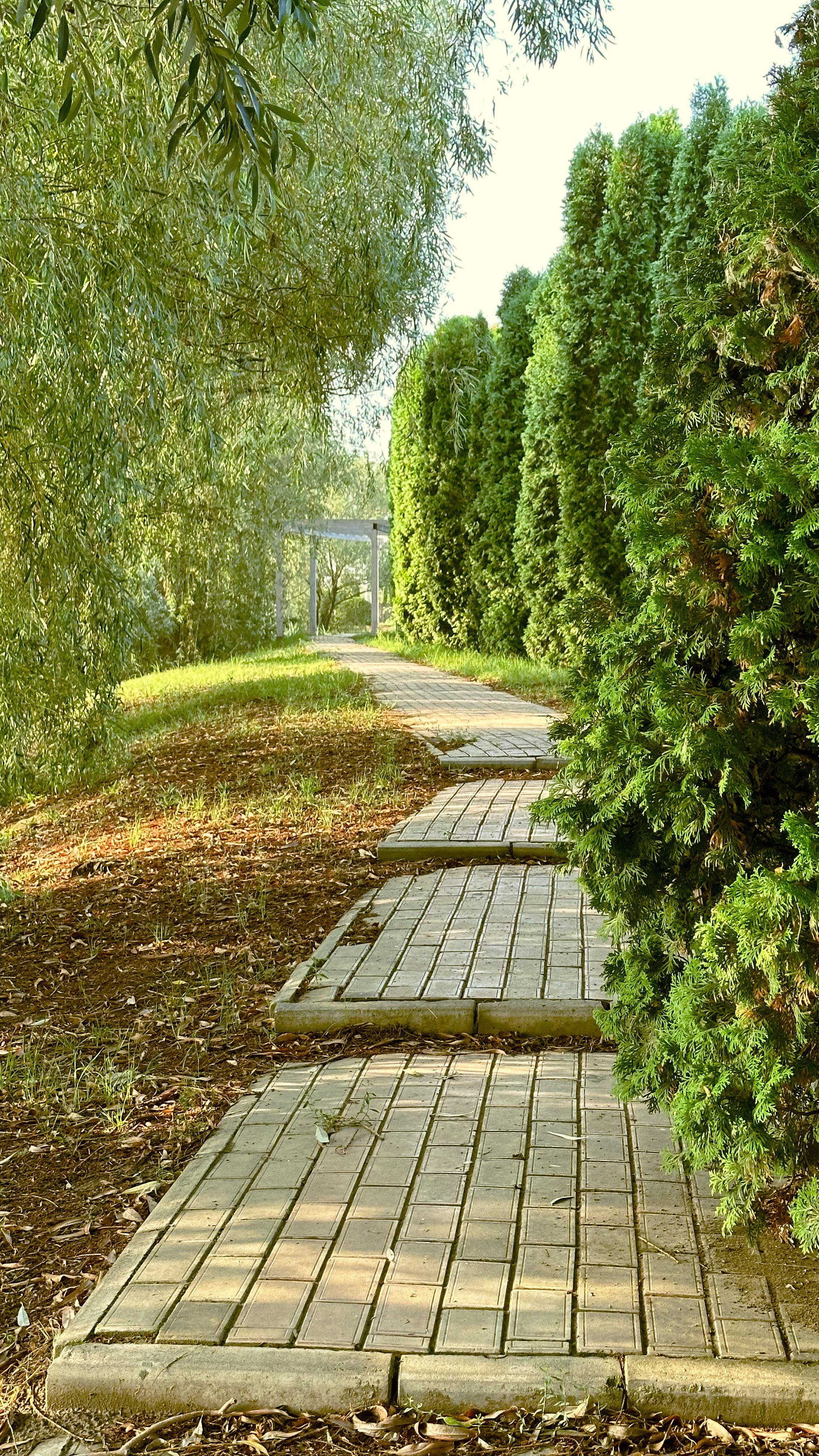 Фото Ковчег