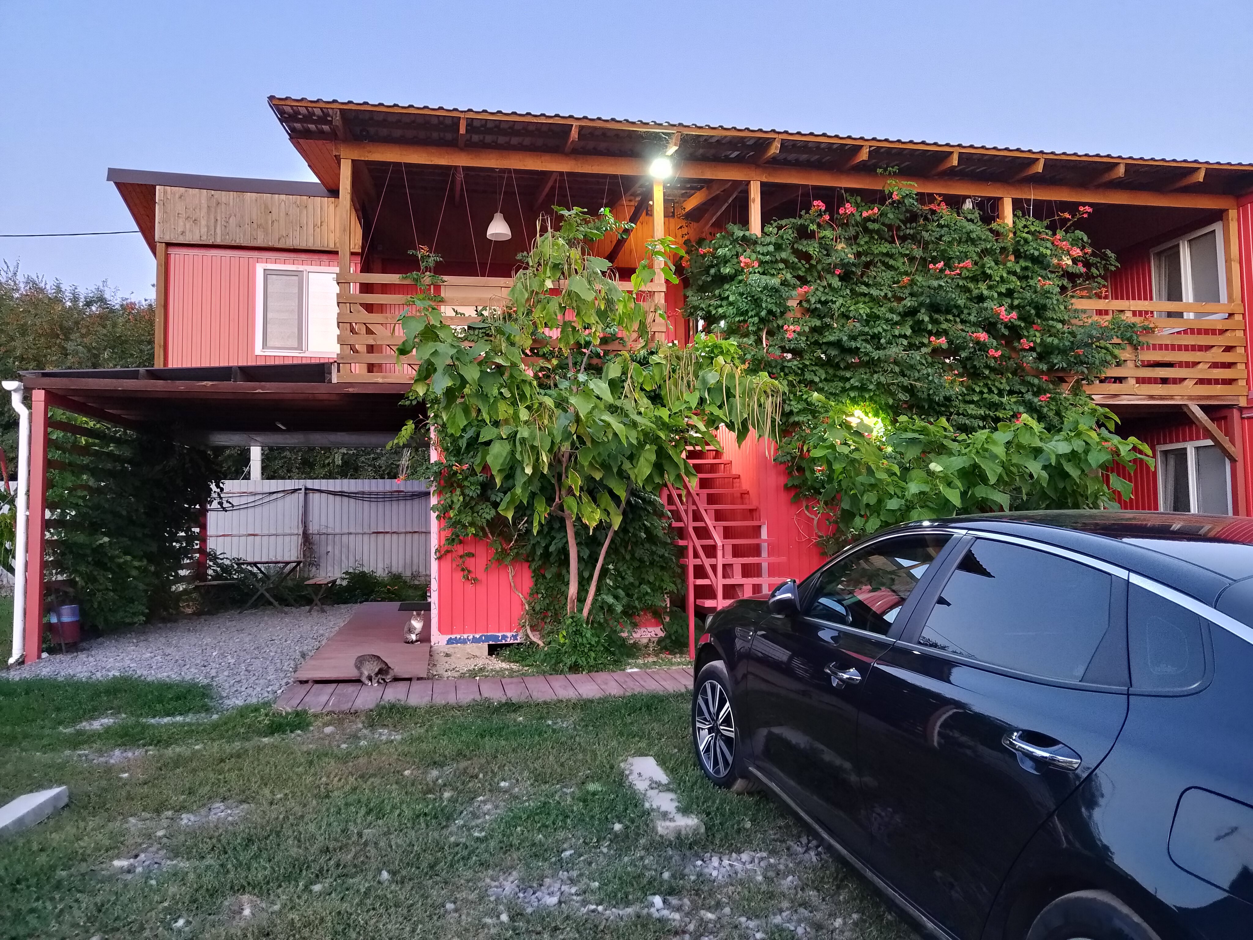 Фото Добрыня