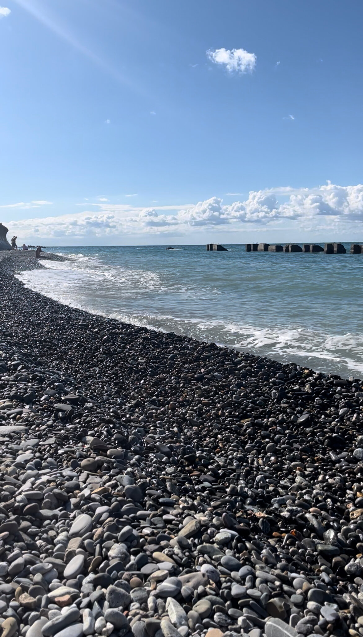 Фото Золотой Лев