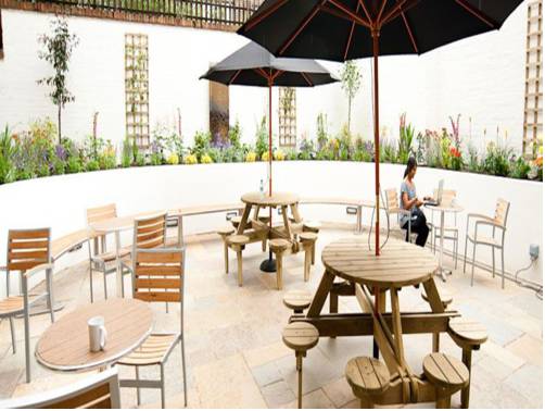 Фото Safestay London Elephant & Castle