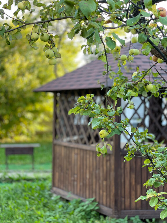 Фото Усадьба