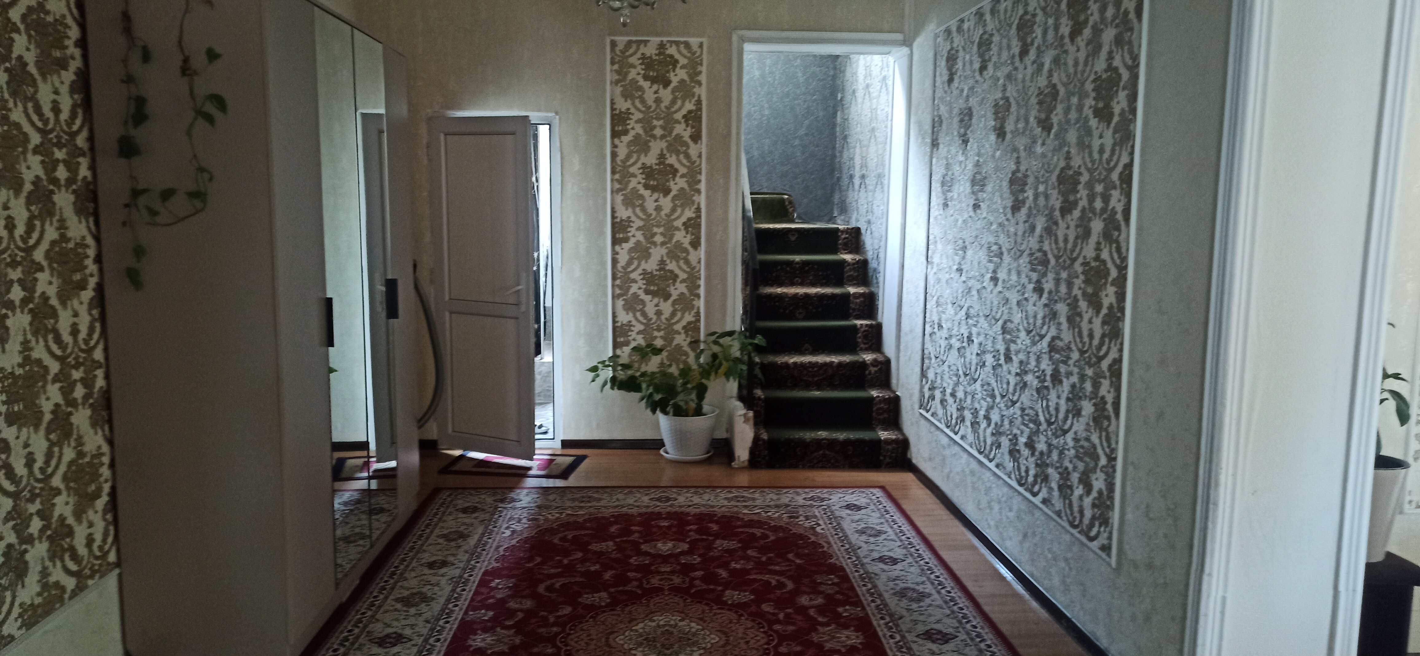 Фото Крокус