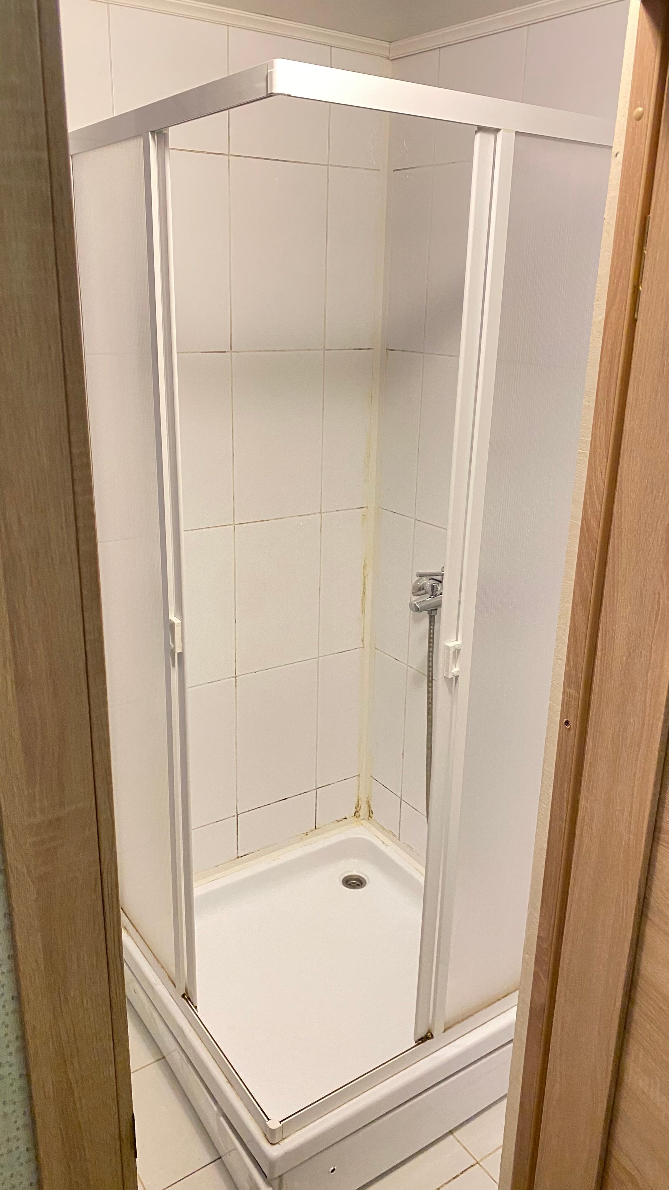 Фото Базилик