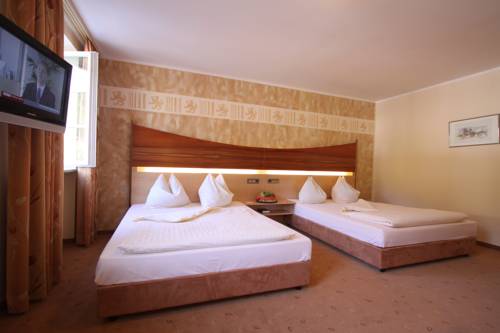 Фото Hotel Passauer Wolf