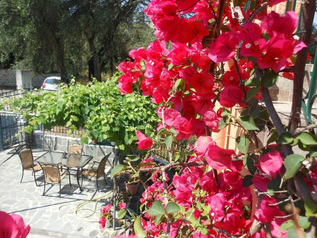 Фото Ziogas Apartments