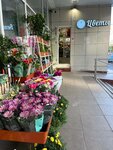 Romashka (Kosmonavtov Street, 12А), floristeria