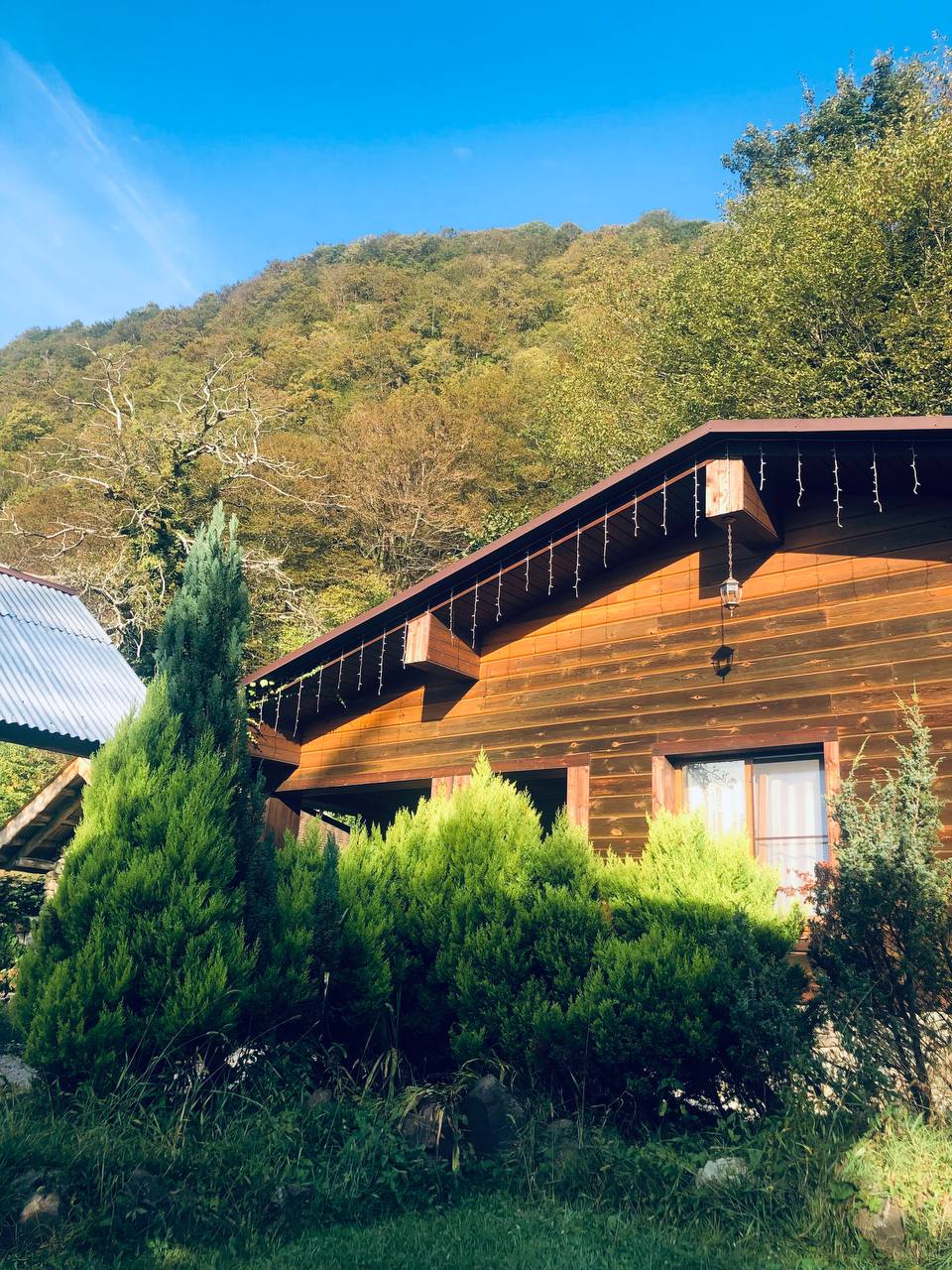 Фото Добрый Дом