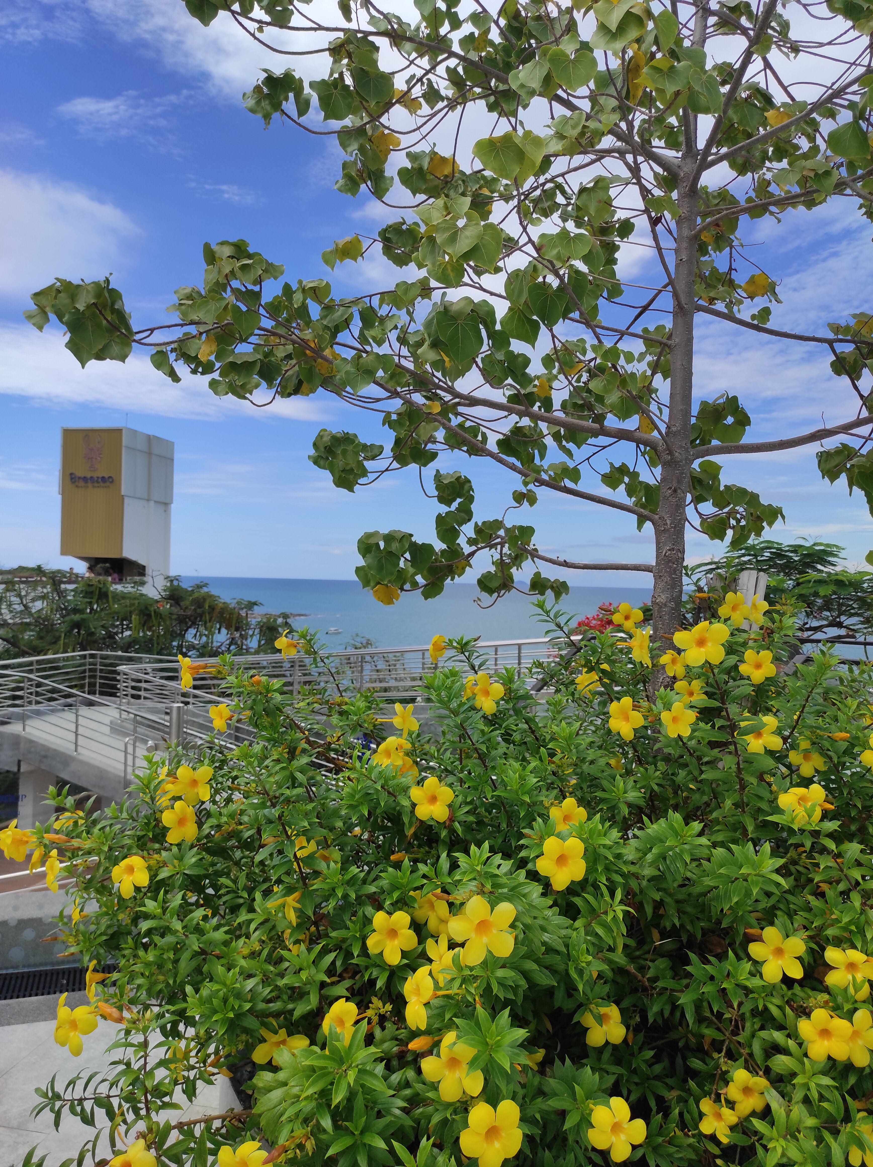 Фото Royal Cliff Grand Hotel