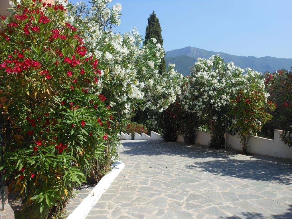 Фото Ziogas Apartments