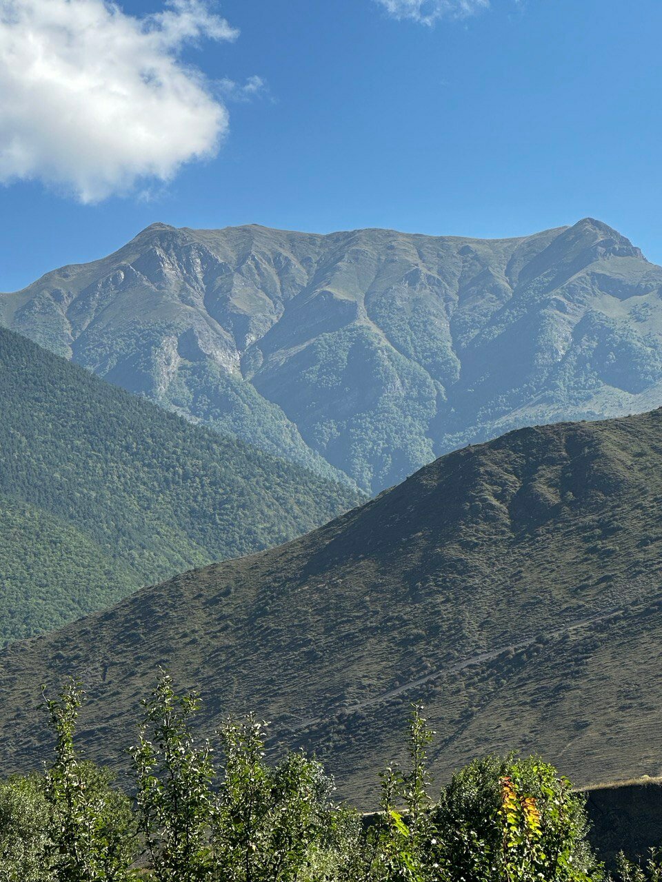 Фото Рагдан