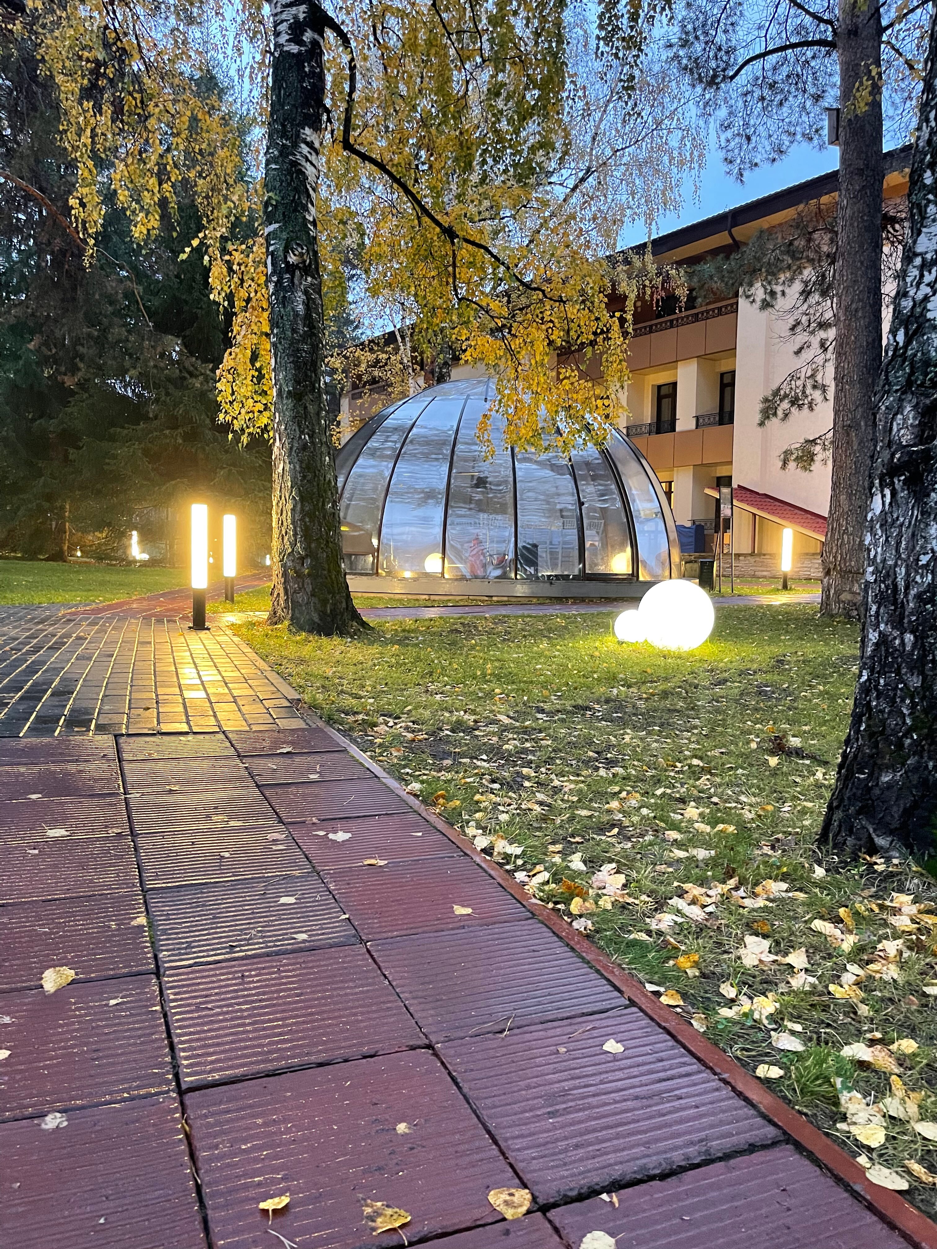 Фото Сосновый бор