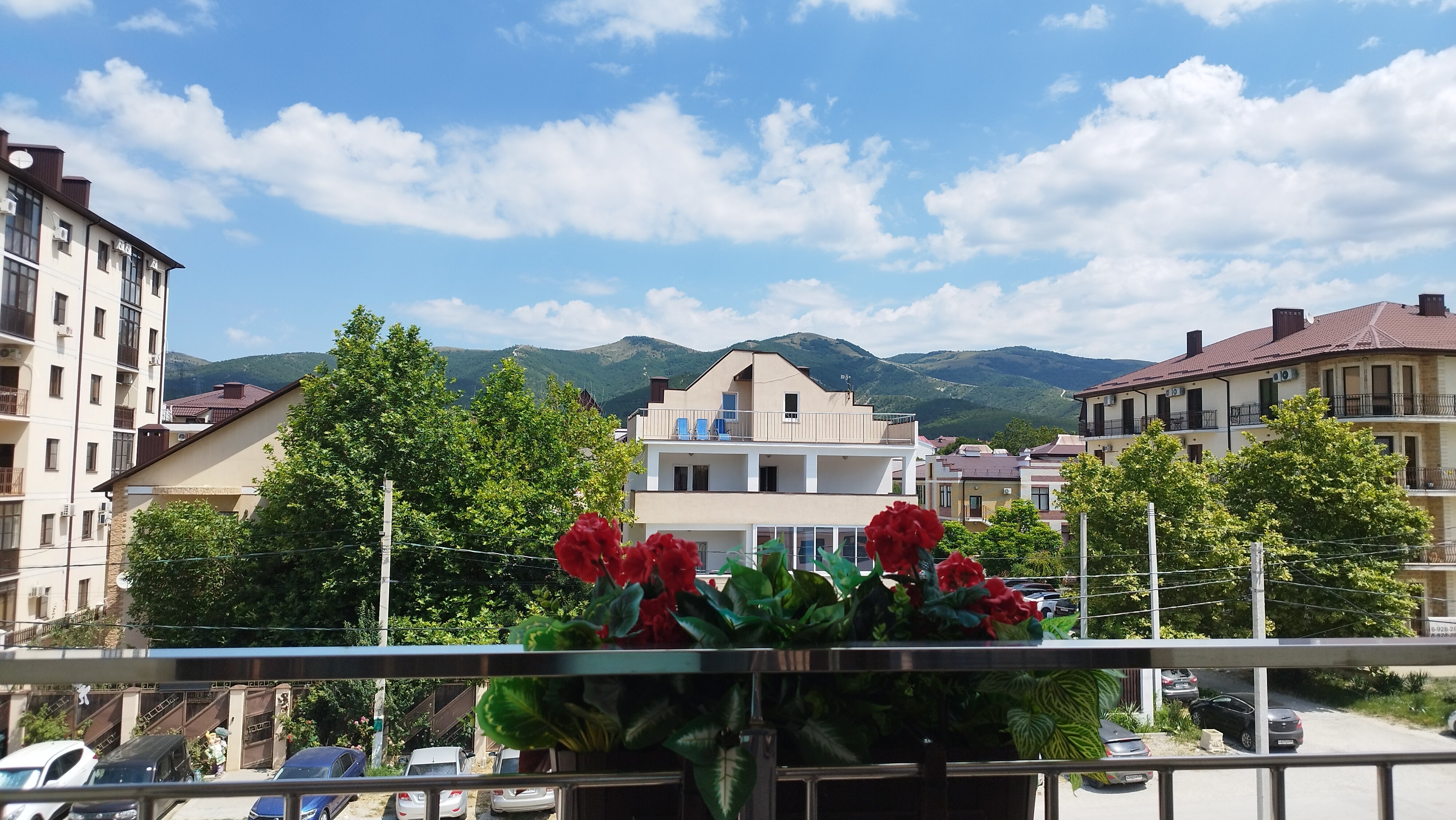 Фото Отрада