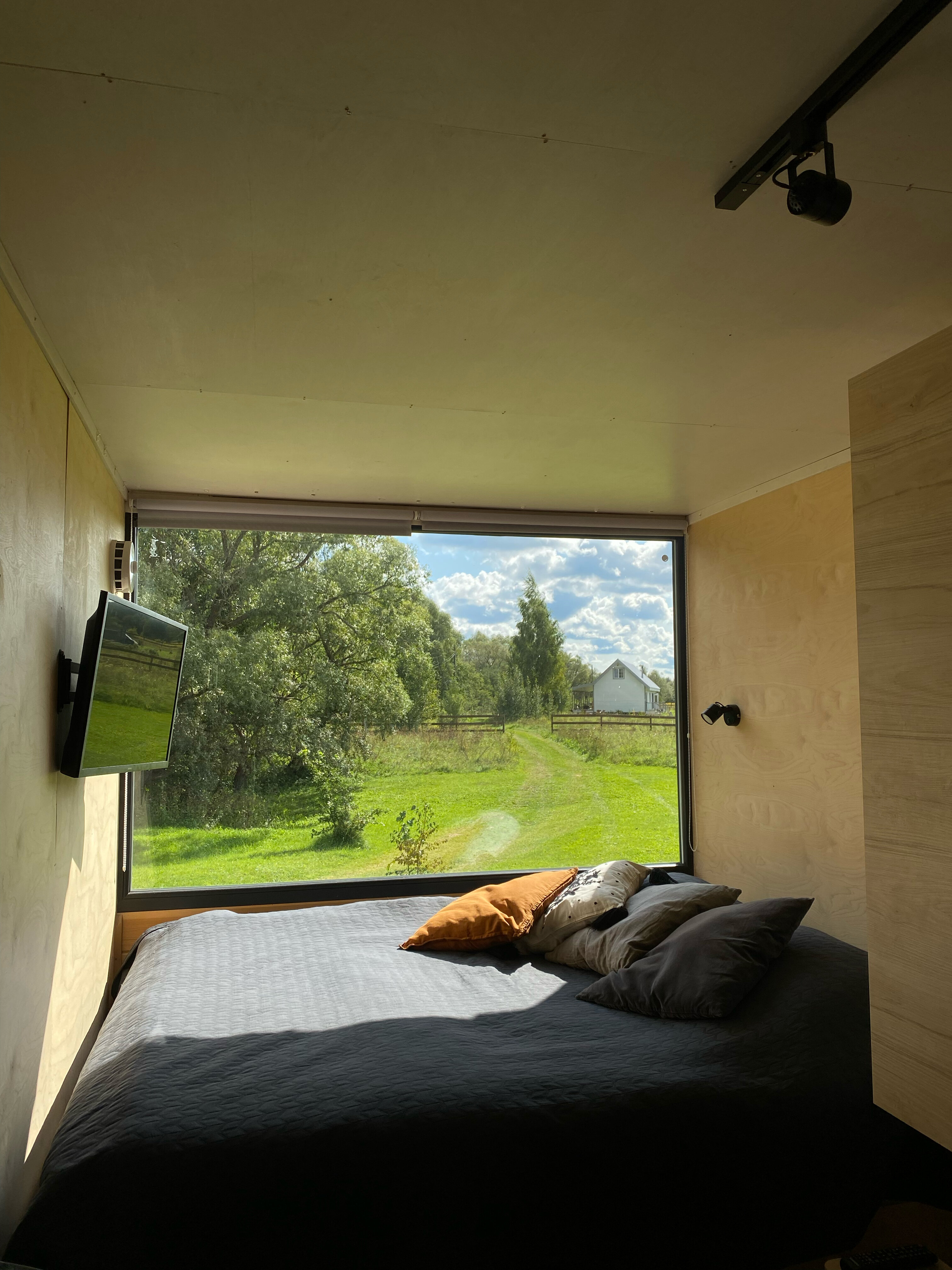 Фото Лес и луга