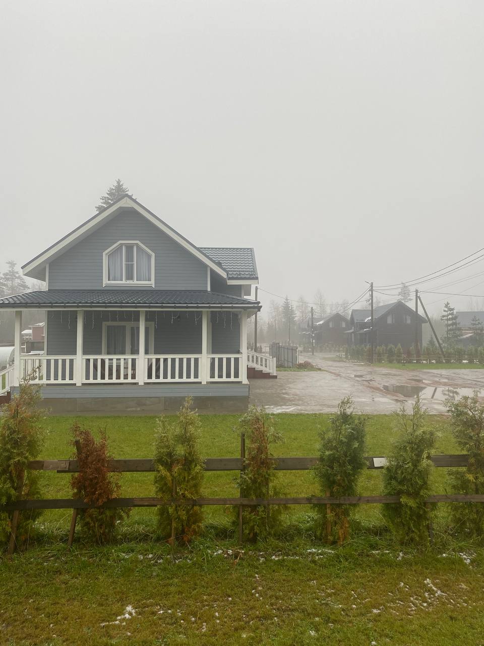 Фото Лесная Сова