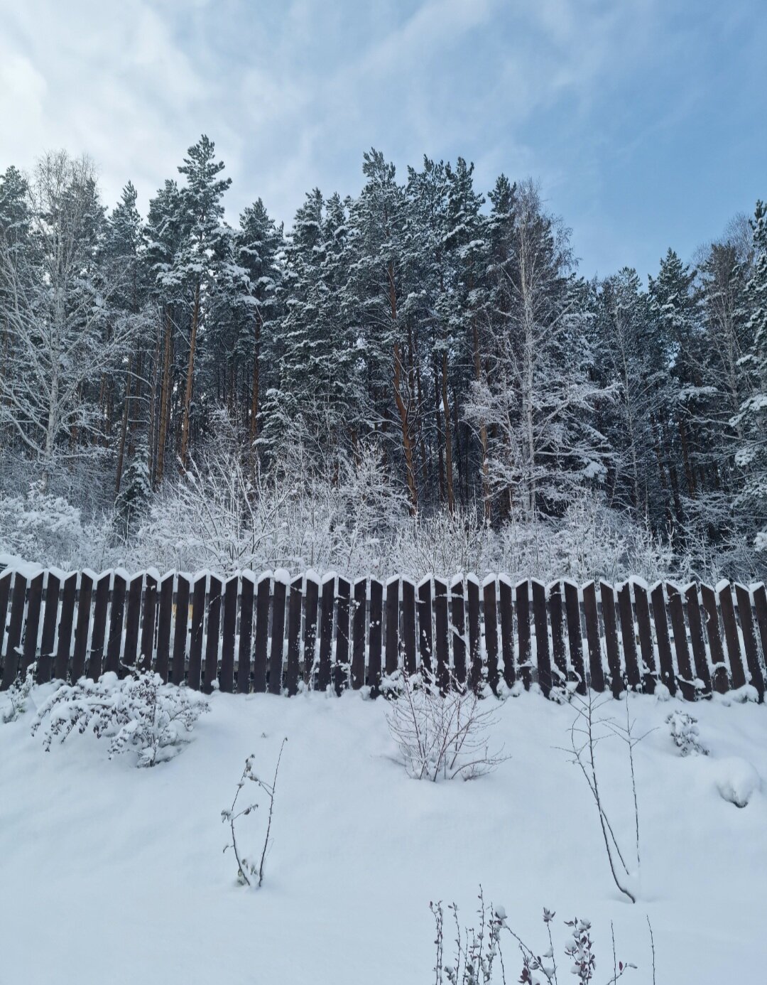 Фото Горная Пчела