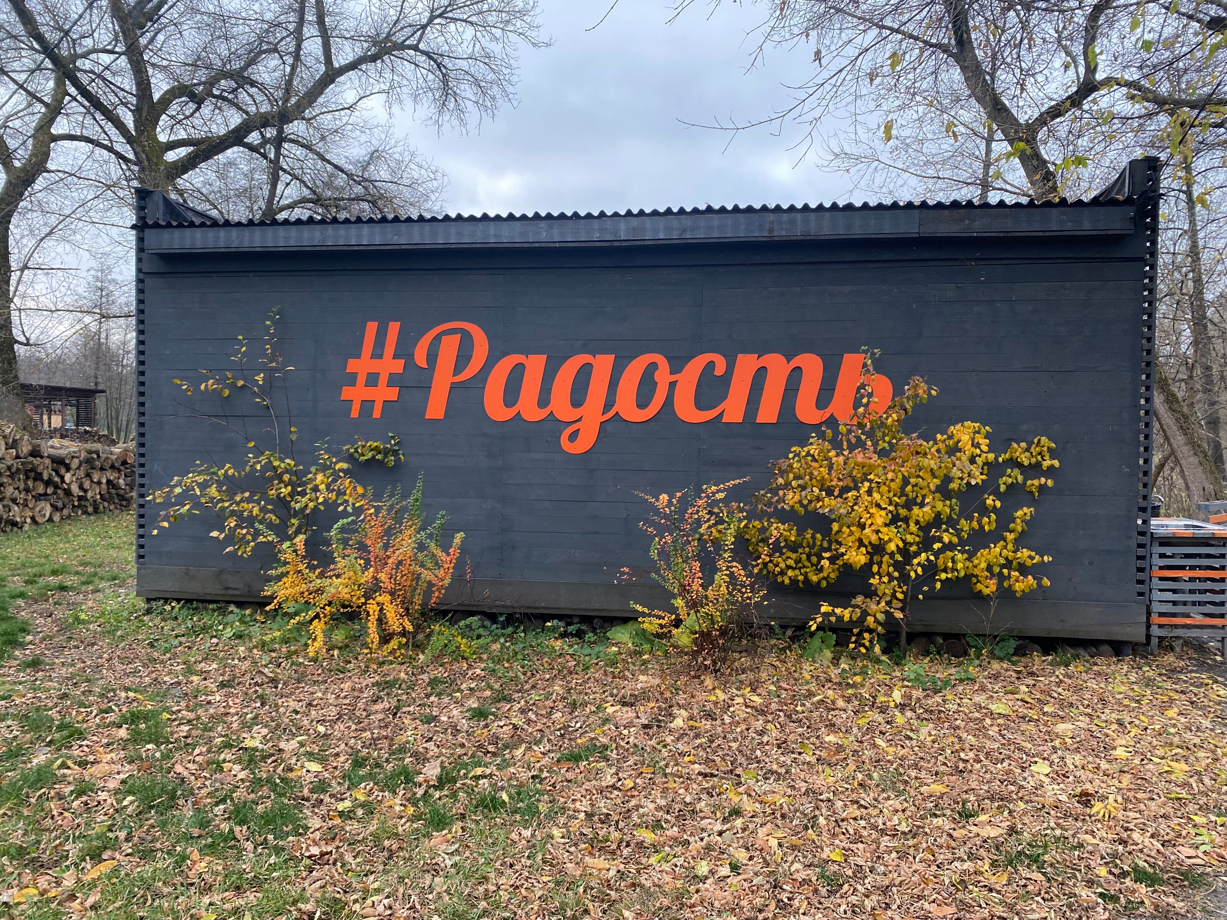 Фото Простые Радости